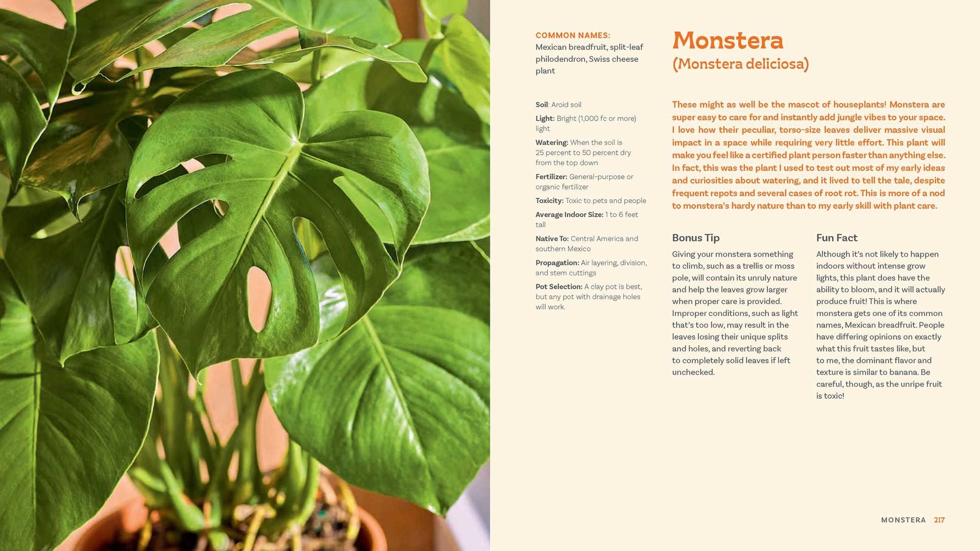 For the Love of Houseplants: Caring for & Keeping Plants with Confidence