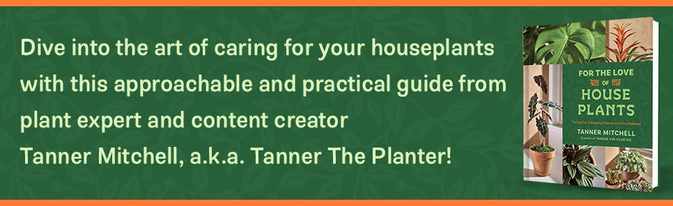 For the Love of Houseplants: Caring for & Keeping Plants with Confidence