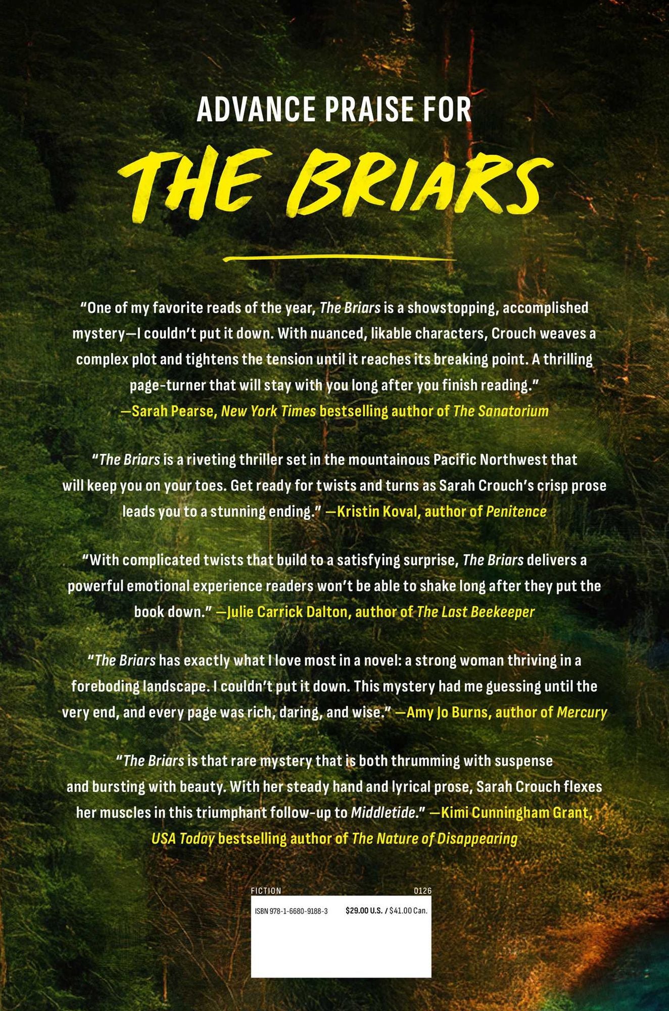 The Briars: A Novel