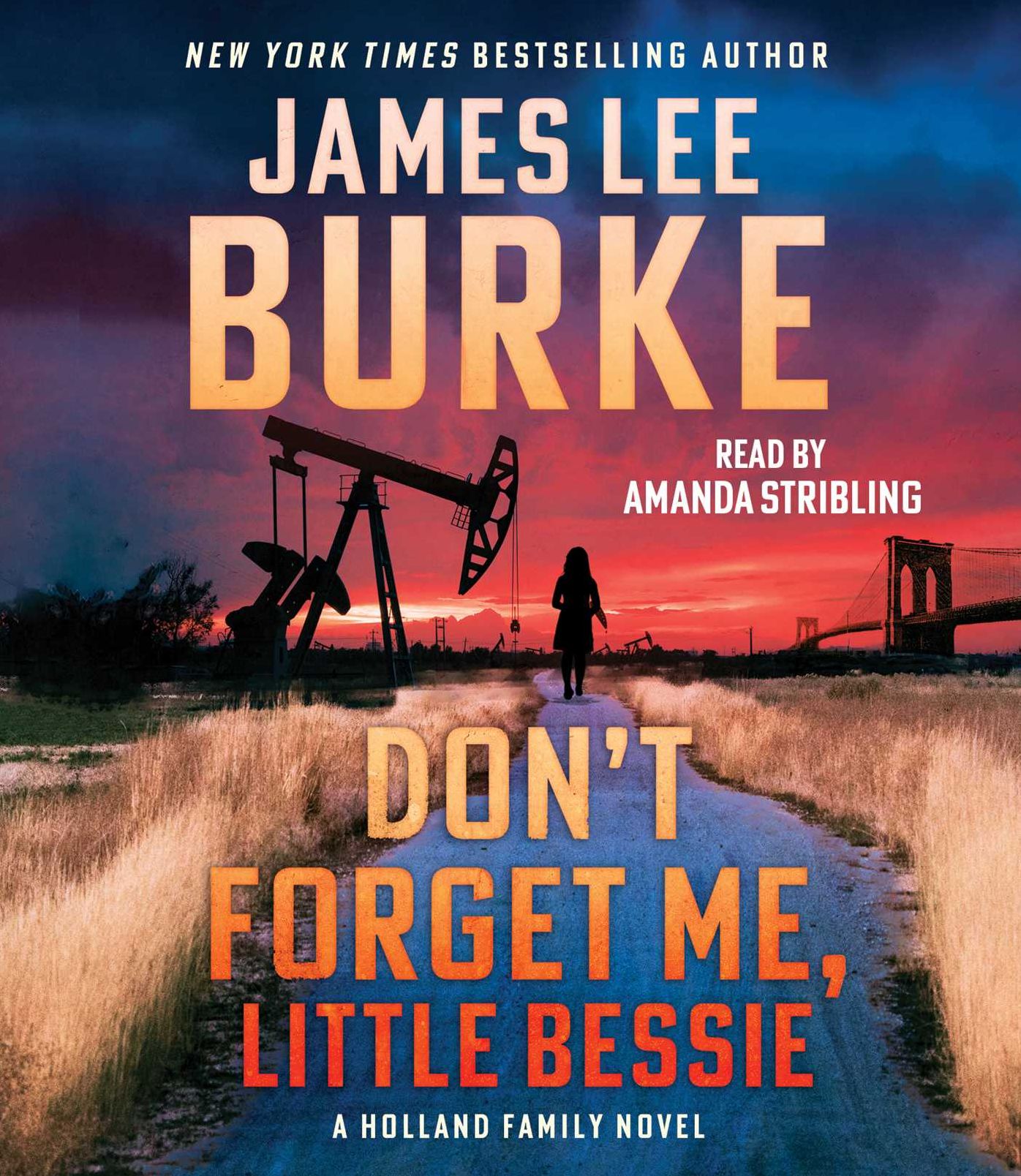 Don't Forget Me, Little Bessie: A Novel