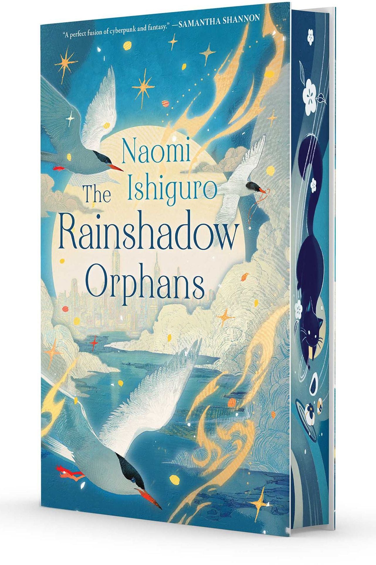 The Rainshadow Orphans: The Rainshadow Series, Book One