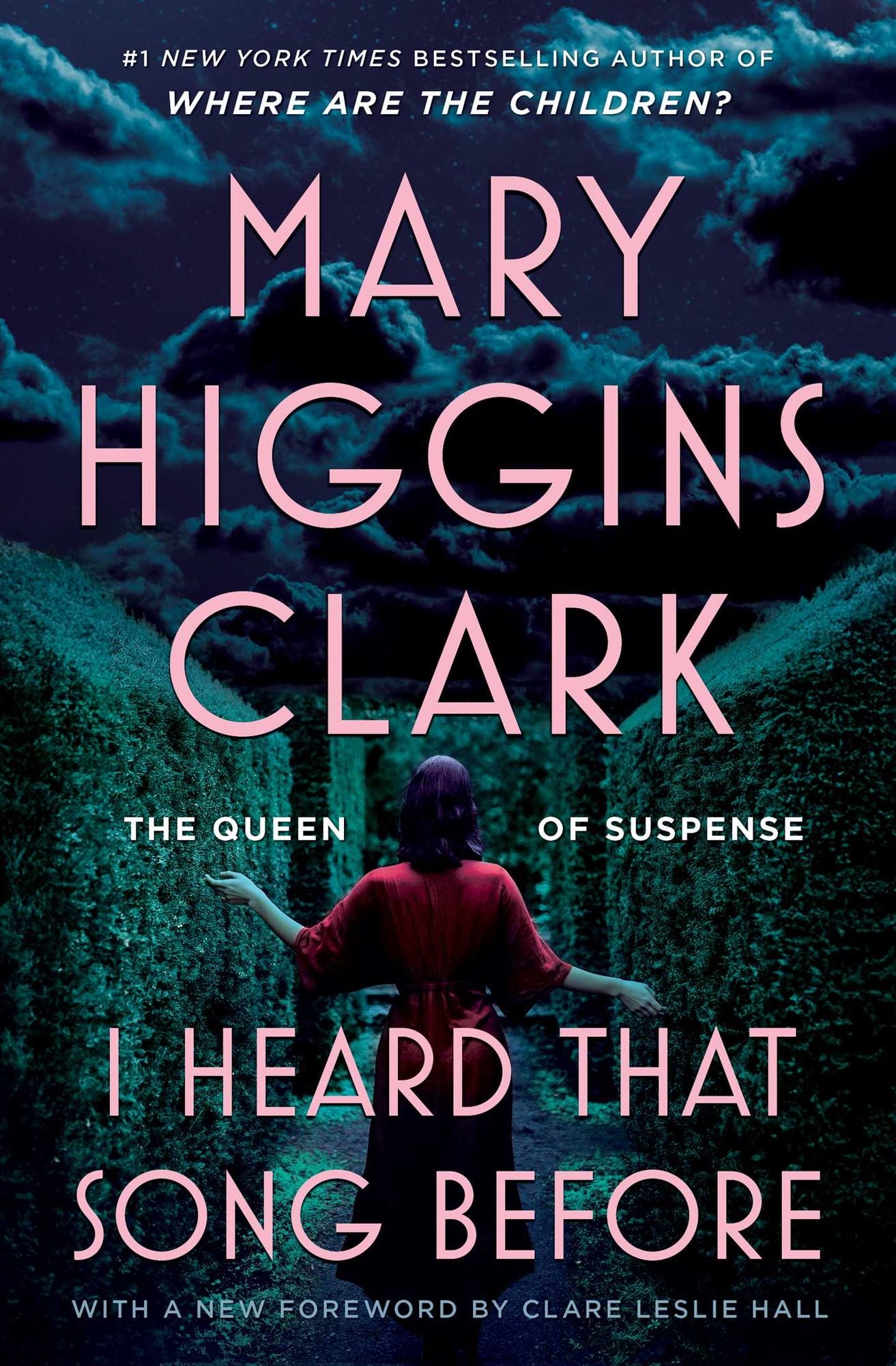 I Heard That Song Before: A Novel