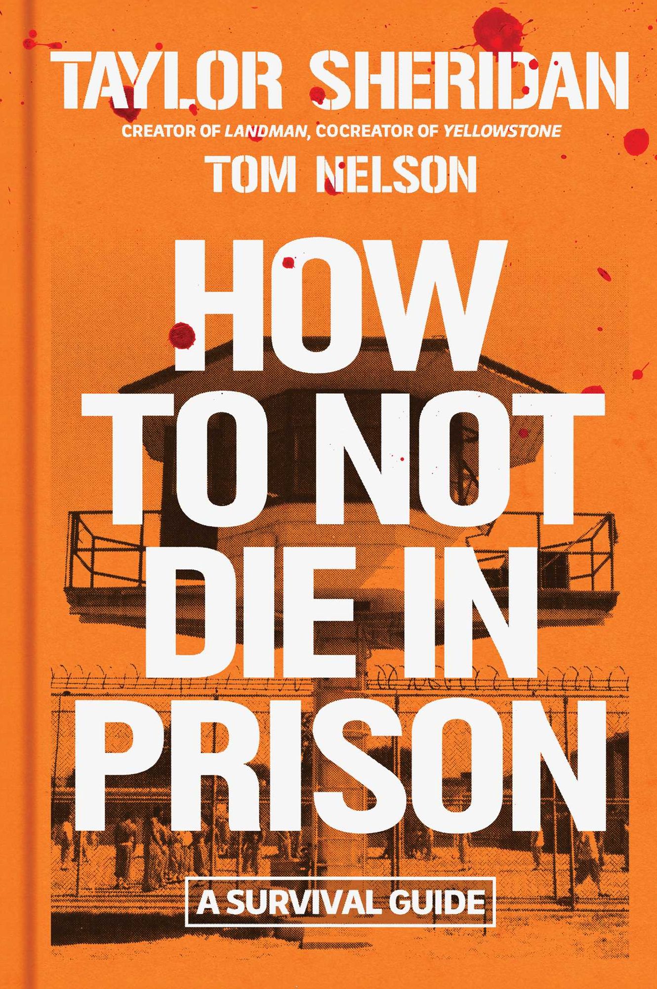 How to Not Die in Prison: A Survival Guide