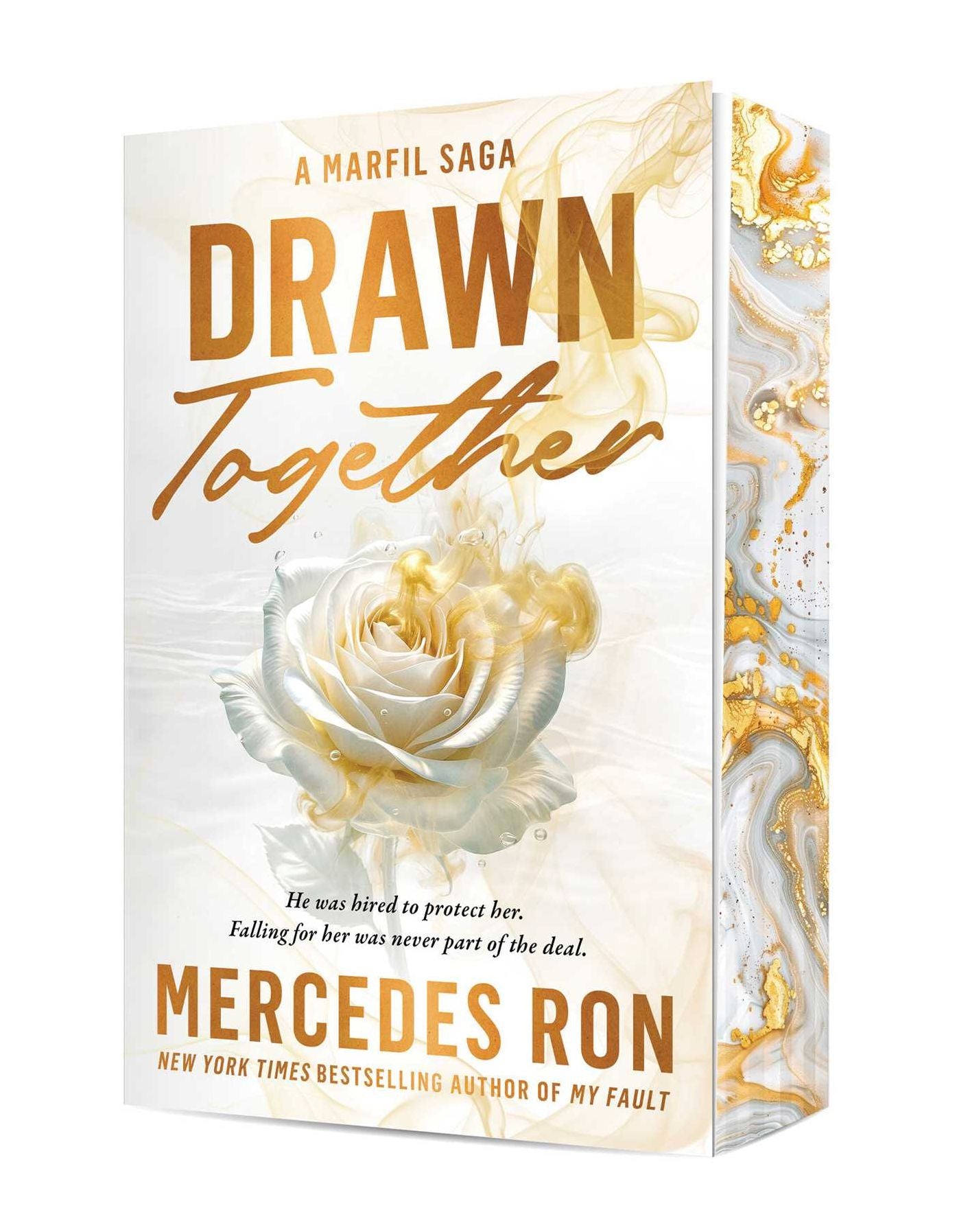 Drawn Together: A Novel