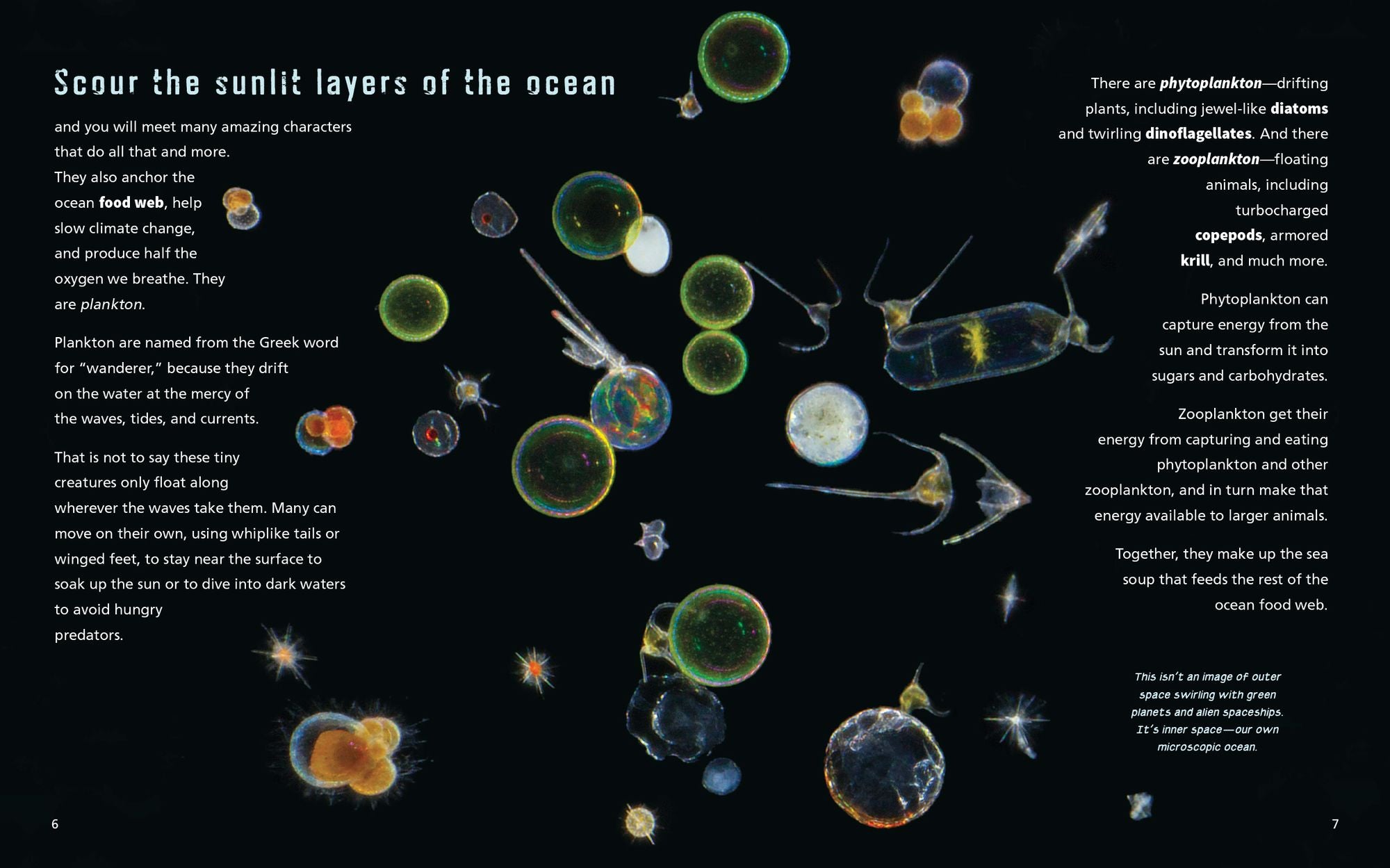 Tiny Titans: The Big Story of Plankton