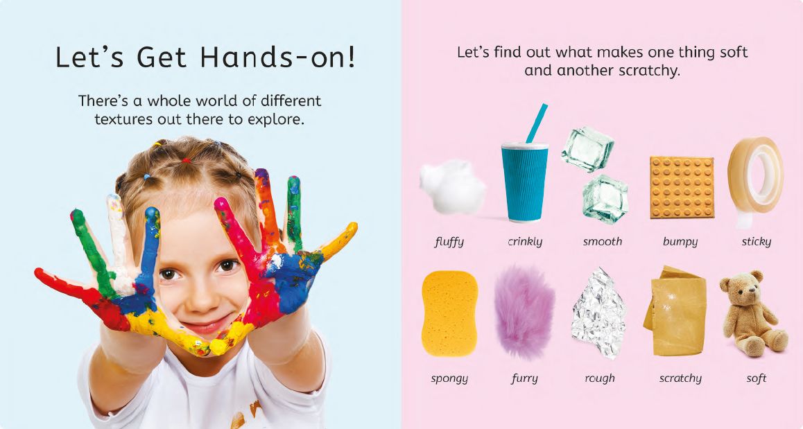 The Touch Book: A Sensory Book to Explore