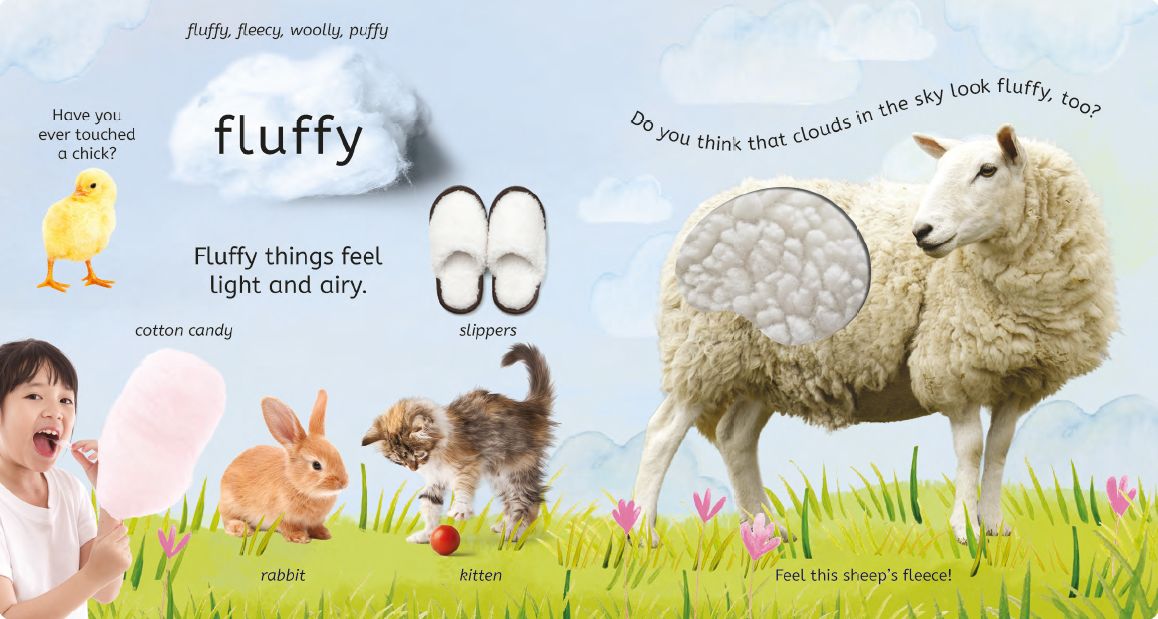 The Touch Book: A Sensory Book to Explore