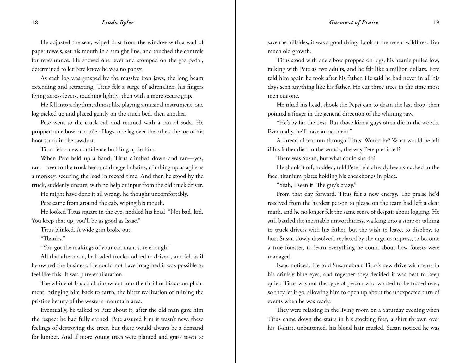 Garment of Praise: An Amish Romance