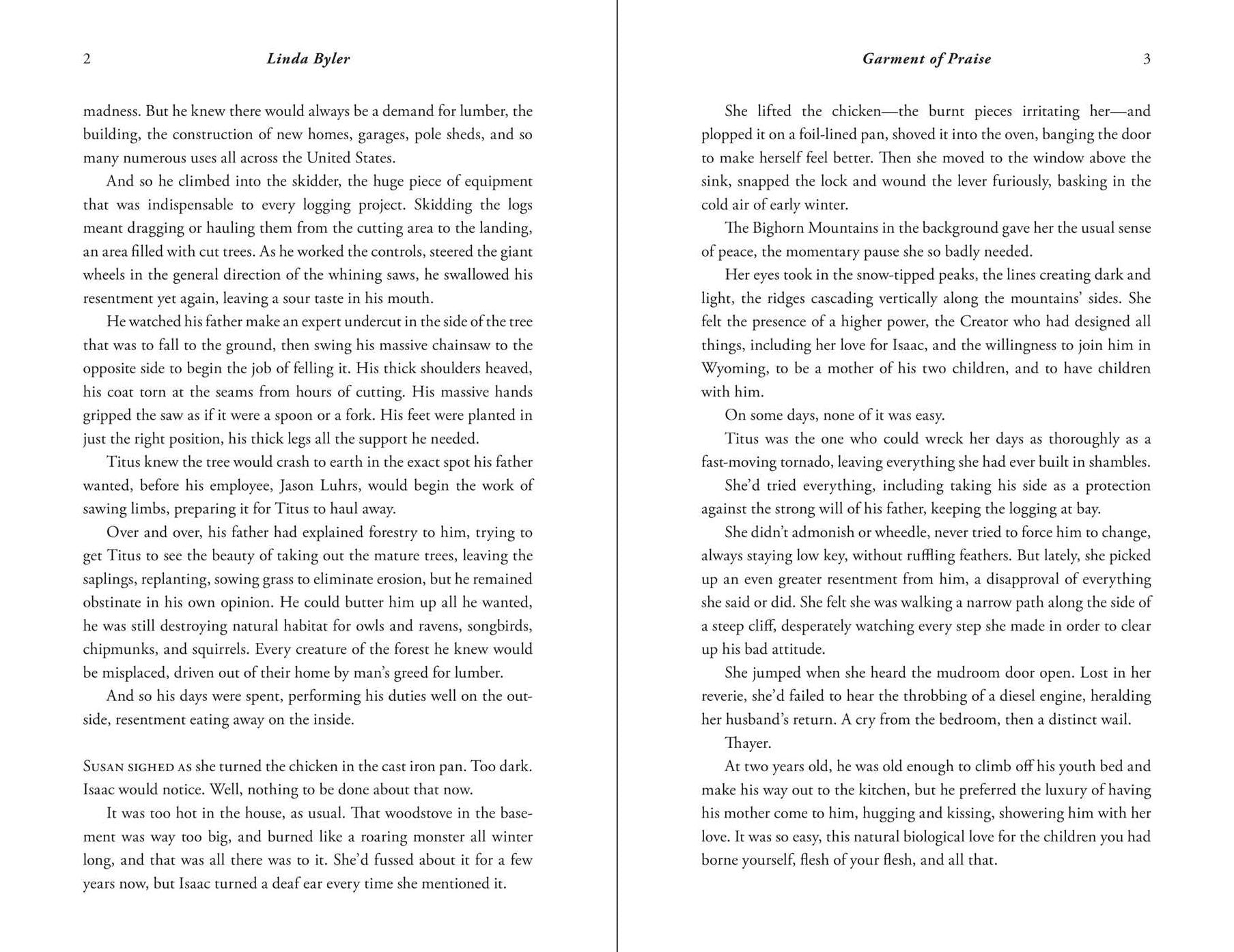 Garment of Praise: An Amish Romance