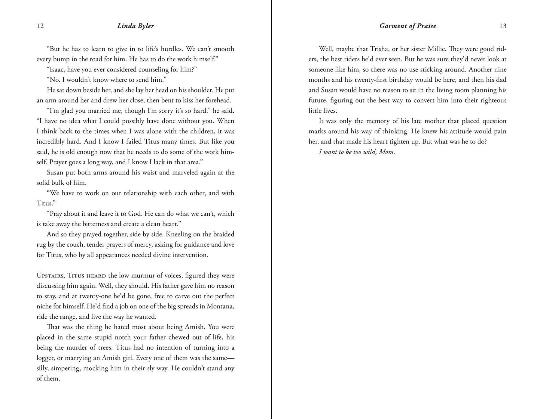 Garment of Praise: An Amish Romance