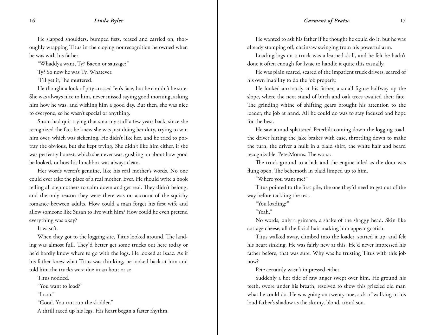 Garment of Praise: An Amish Romance