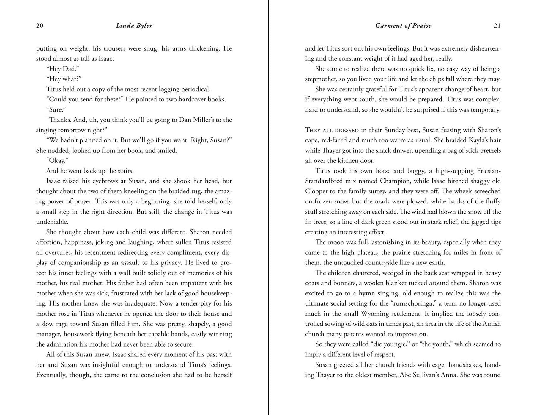 Garment of Praise: An Amish Romance