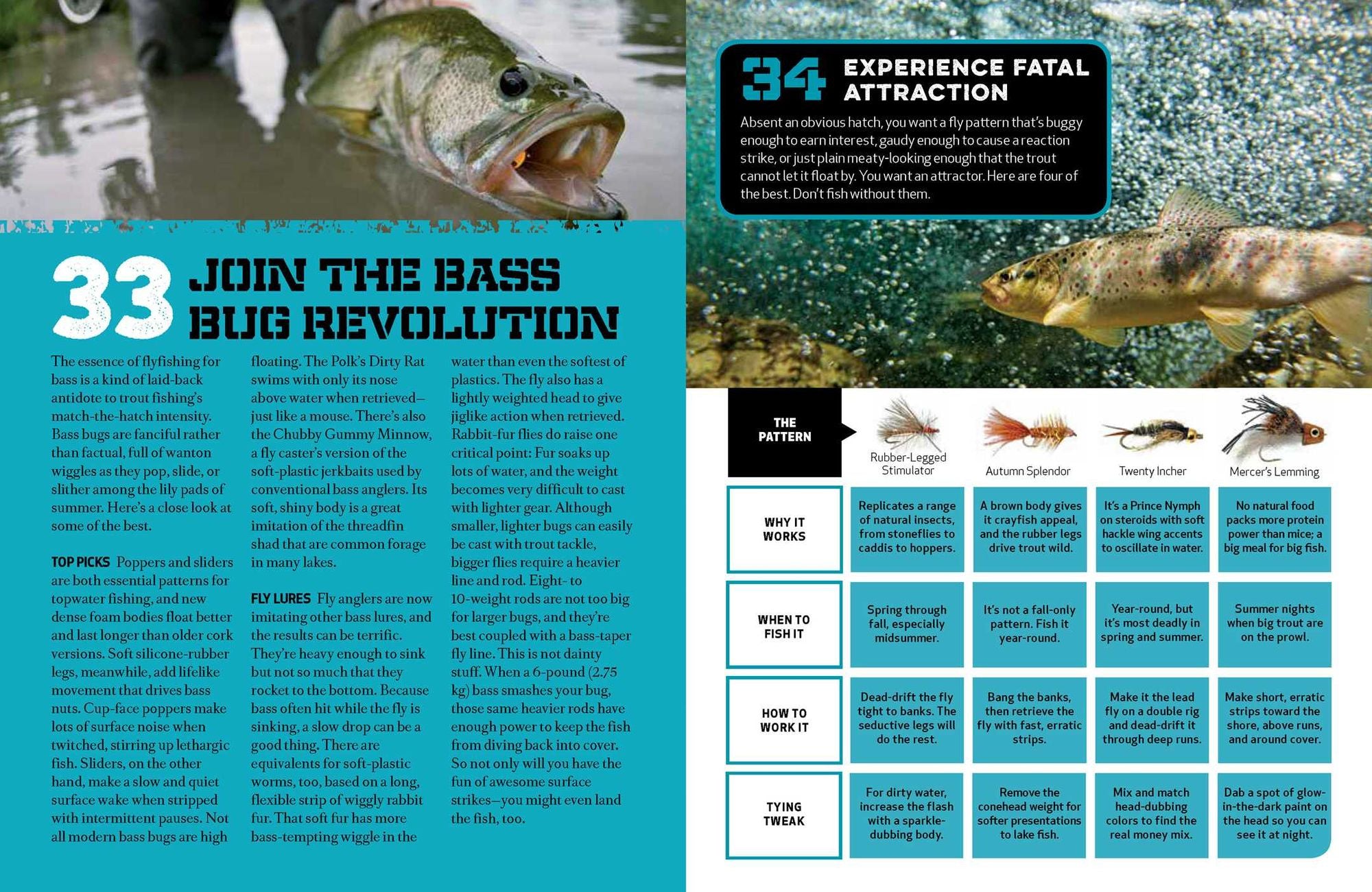 The Essential Fishing Handbook: 179 Essential Hints