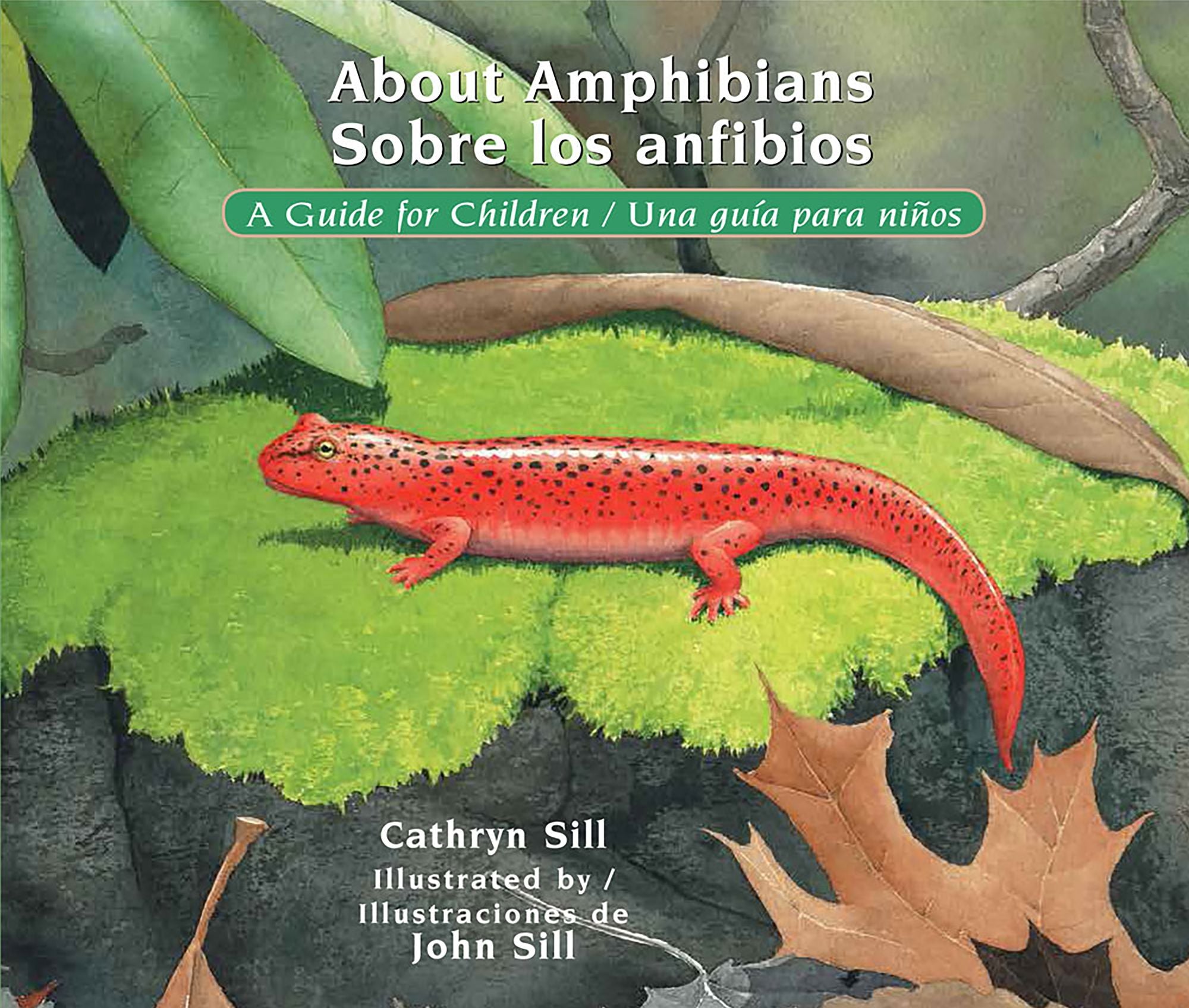 About Amphibians / Sobre los anfibios: A Guide for Children / Una guía para niños (Bilingual Spanish/English Educational Science Book about Amphibians)