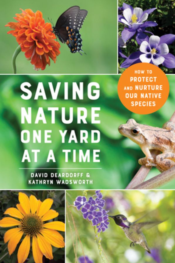 Saving Nature One Yard at a Time: How to Protect and Nurture Our Native Species