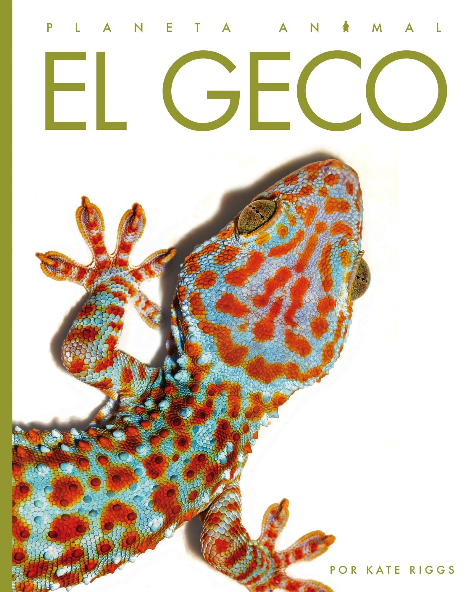 El geco