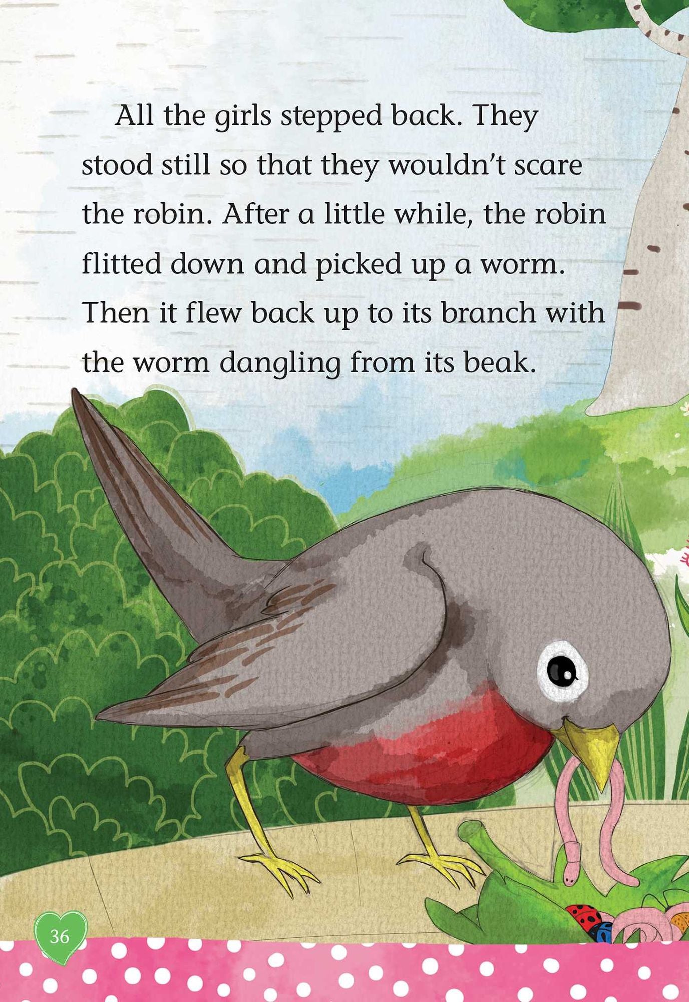 The Riddle of the Robin