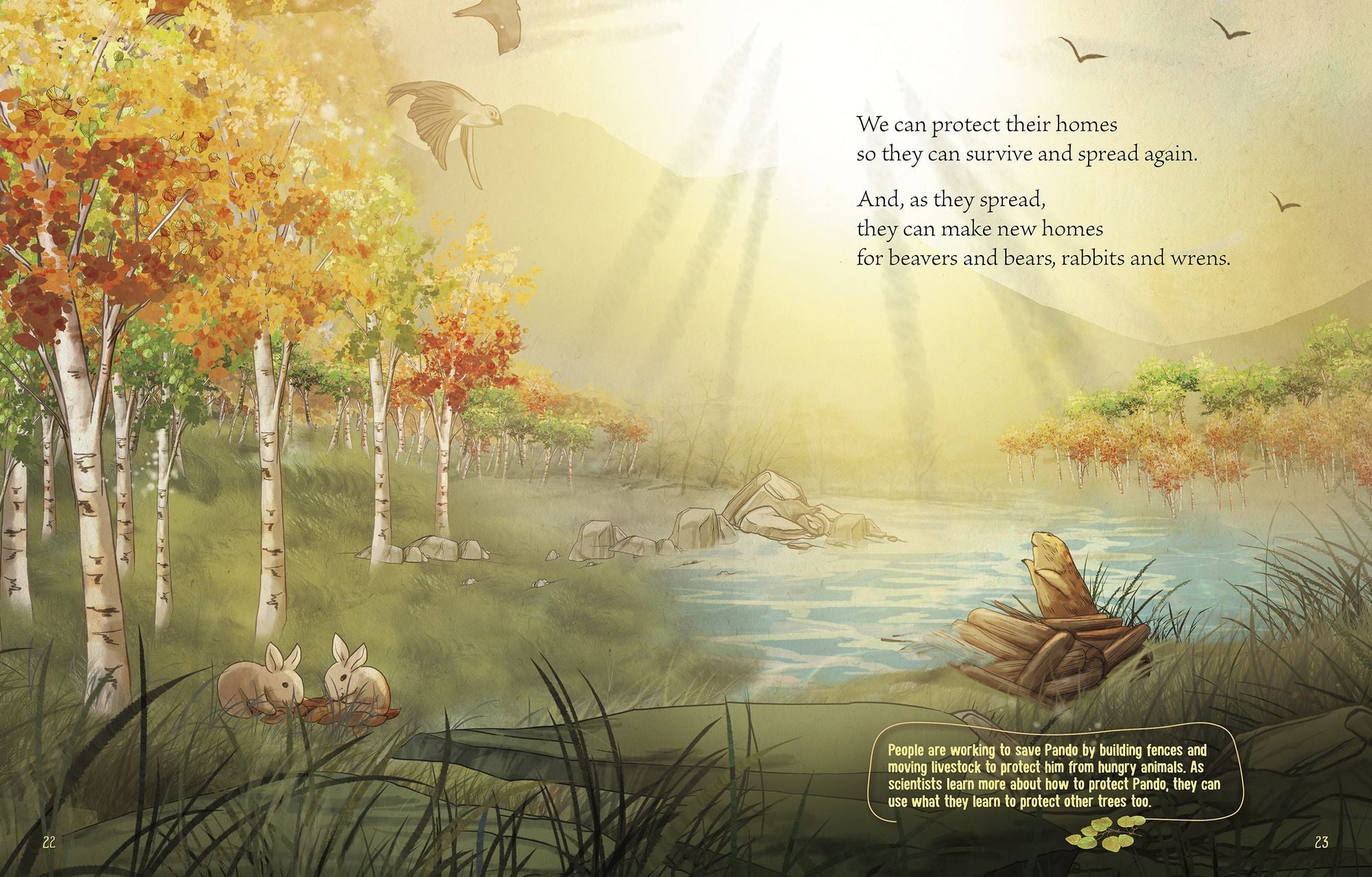 Pando: A Living Wonder of Trees