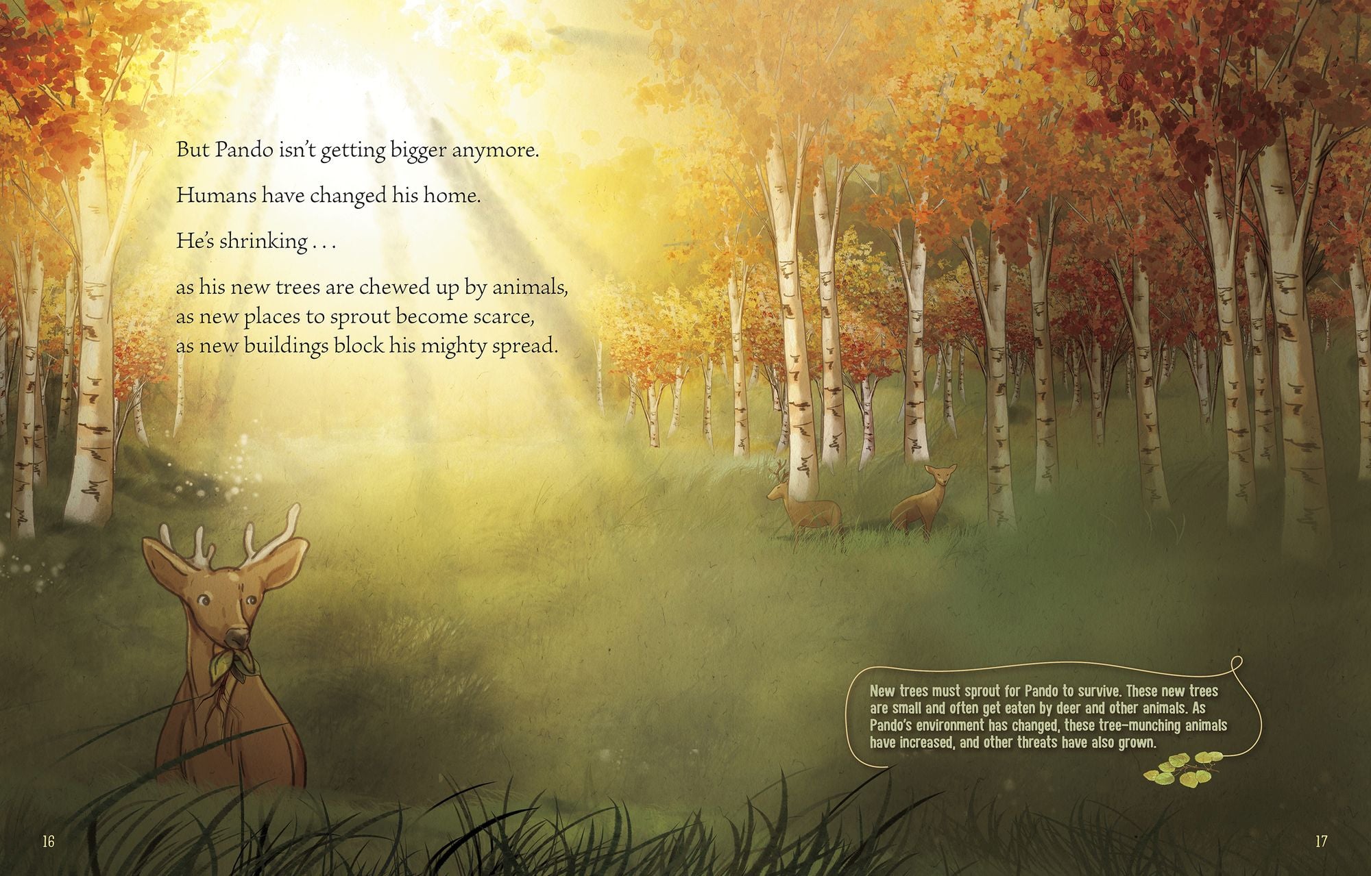 Pando: A Living Wonder of Trees