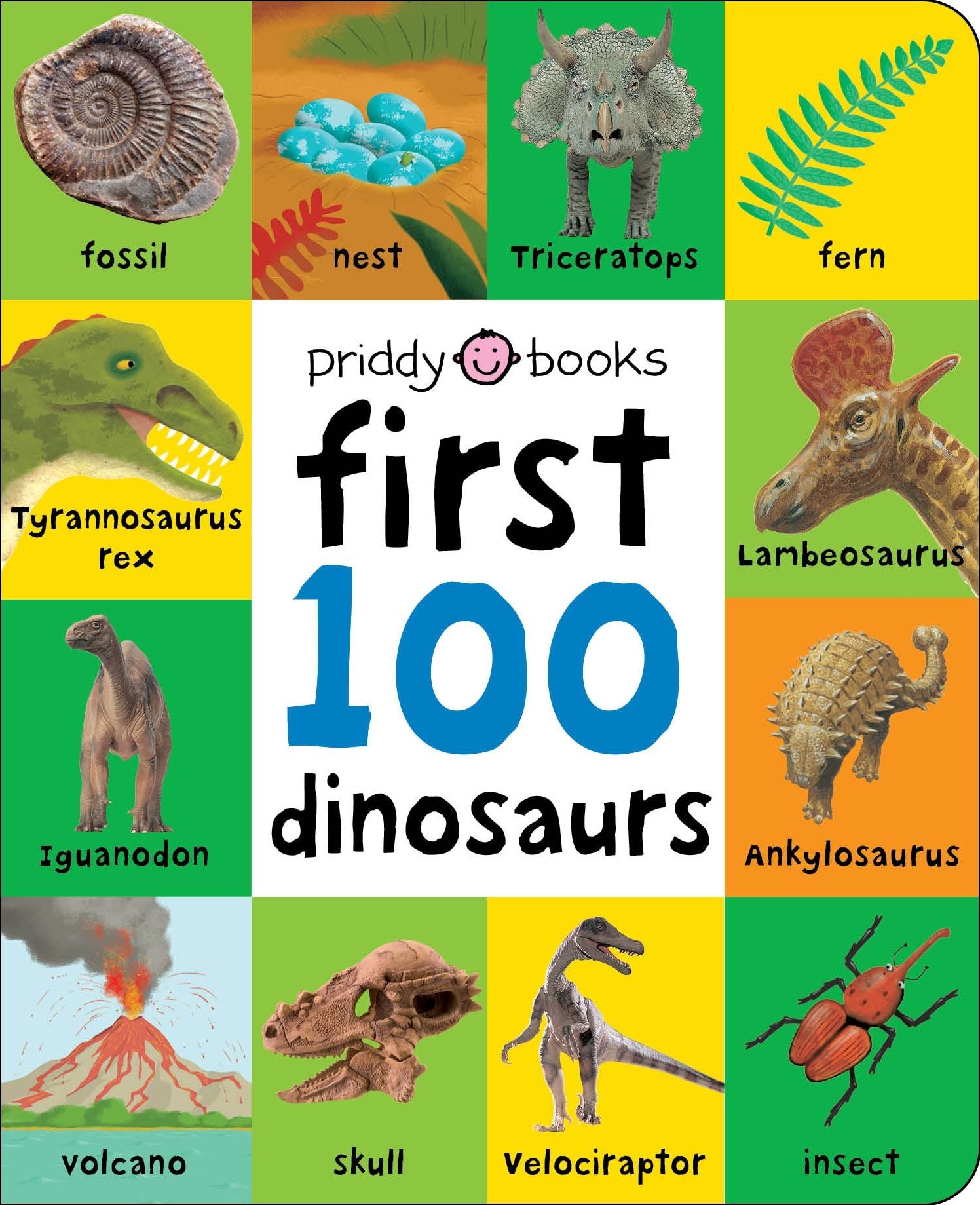 First 100 Dinosaurs: A padded book-perfect for little hands to hold