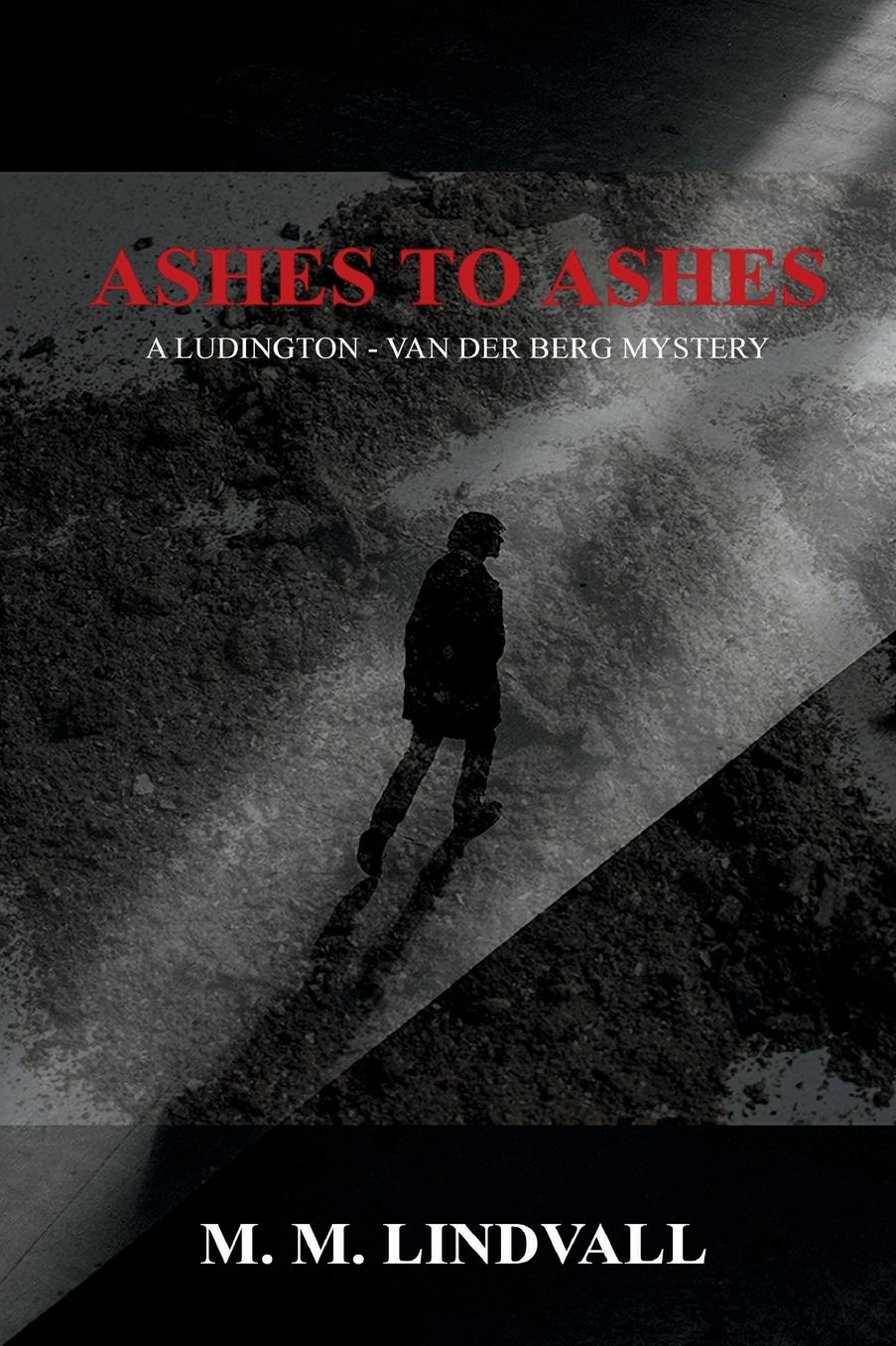Ashes to Ashes: A Ludington - van der Berg Mystery