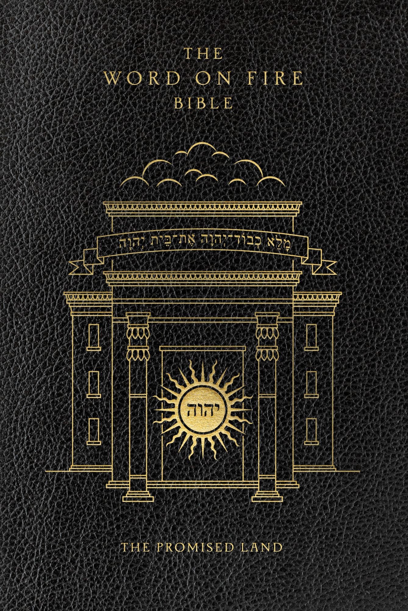 The Word on Fire Bible: The Promised Land
