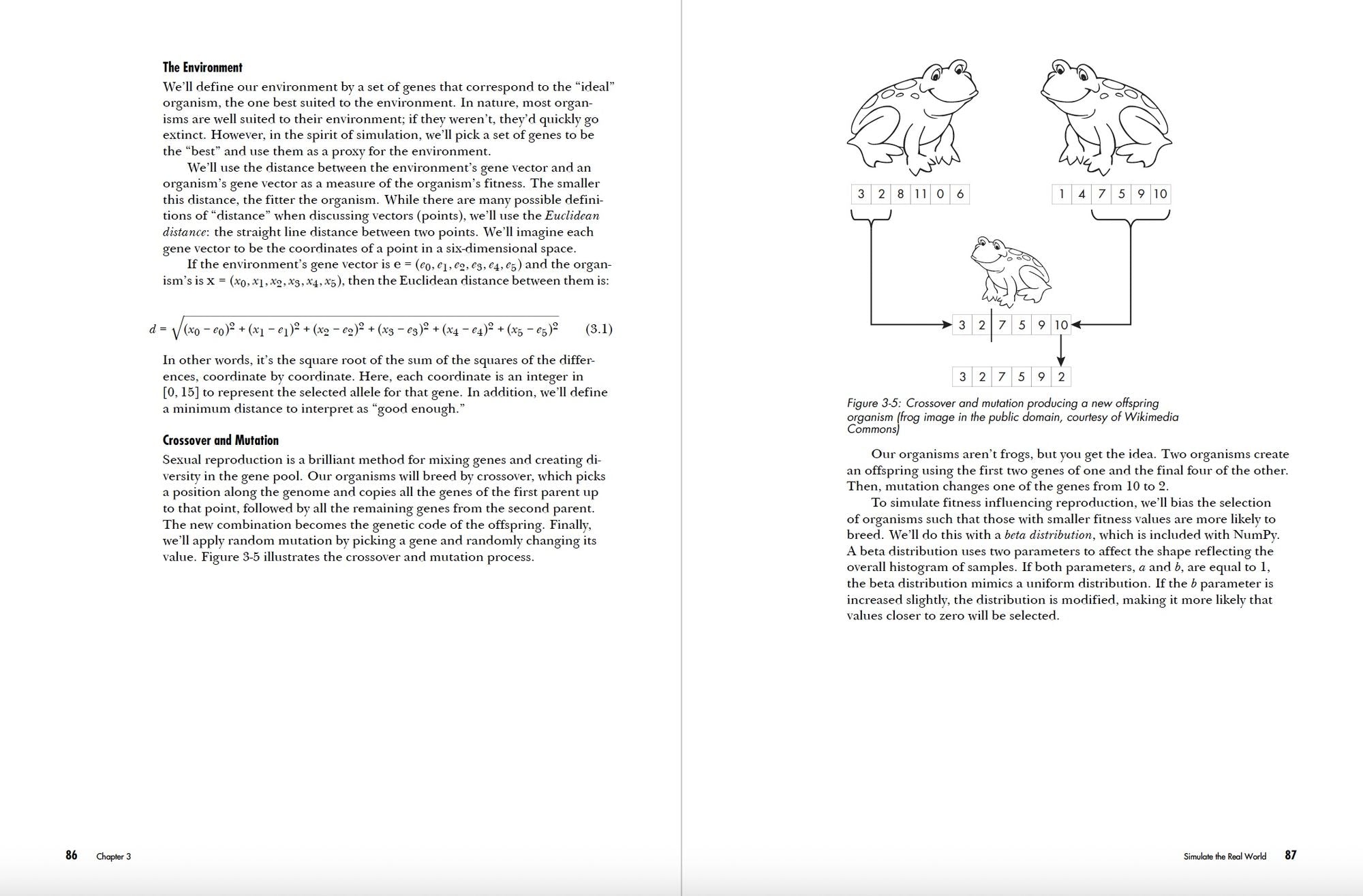 The Art of Randomness: Randomized Algorithms in the Real World