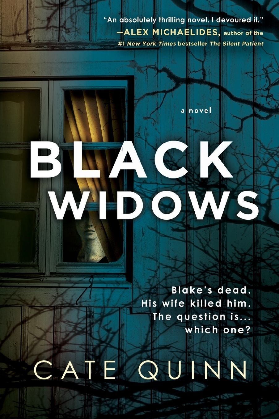 Black Widows: A Novel