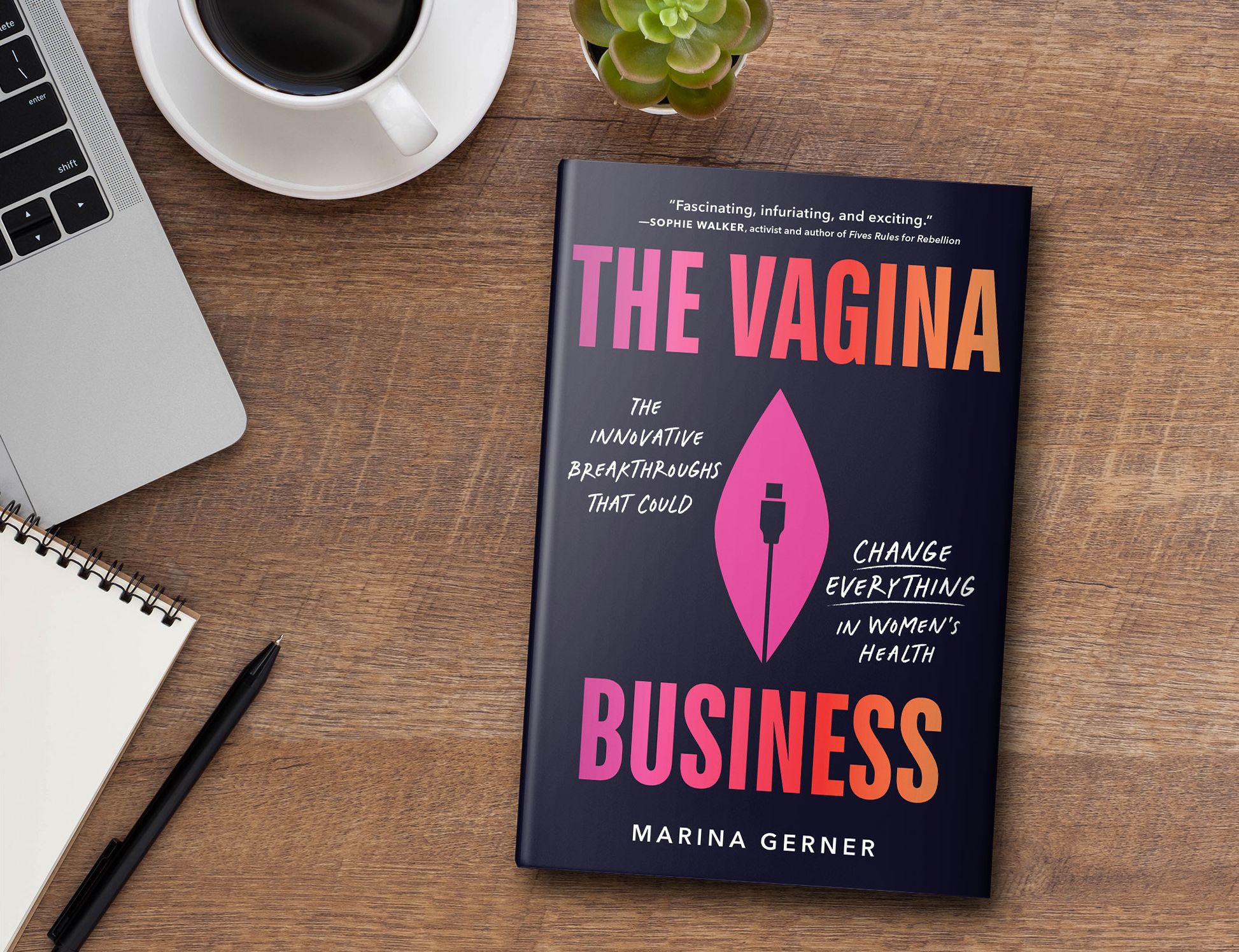 The Vagina Business: The Innovative Breakthroughs that Could Change Everything in Women's Health