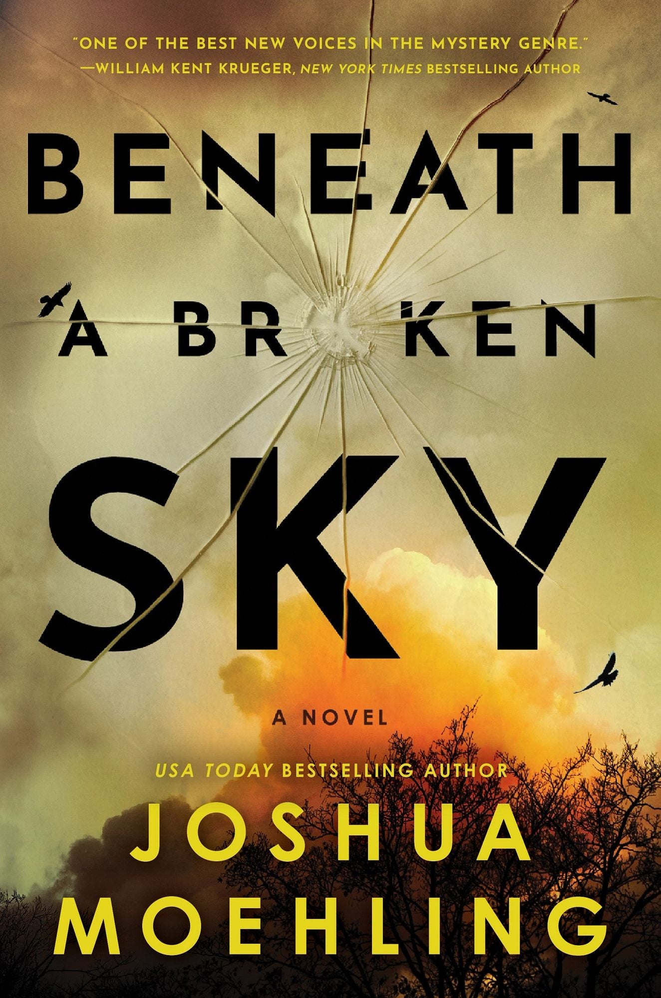 Beneath a Broken Sky: A Novel