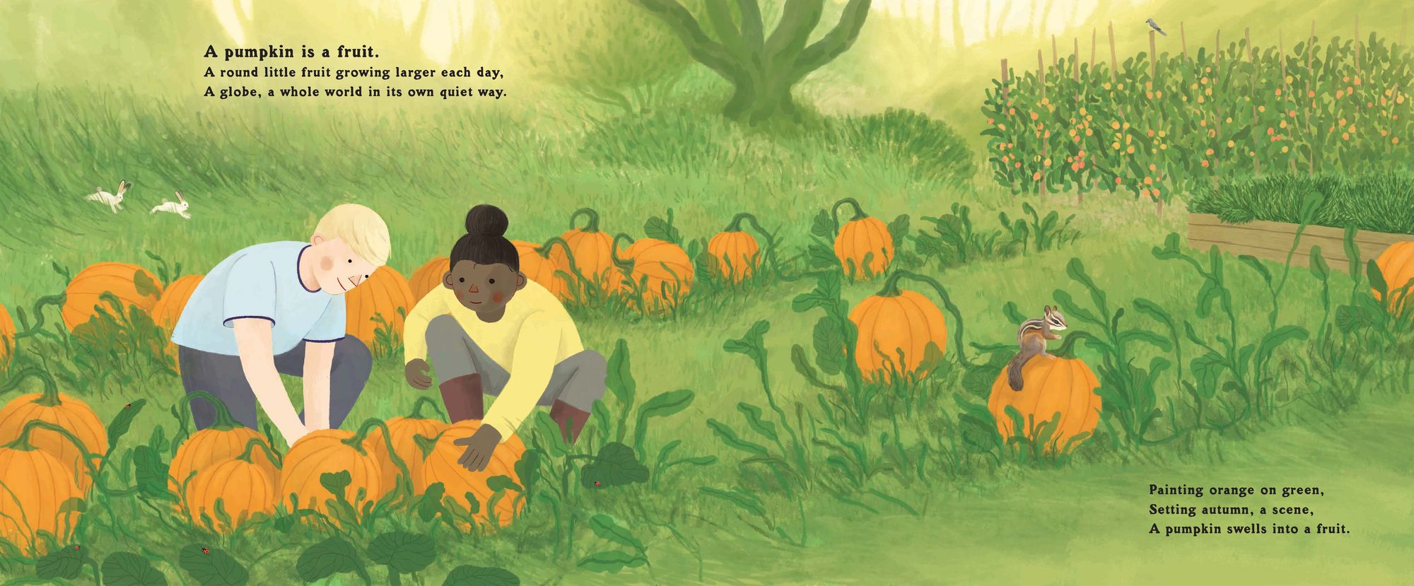 The Pumpkin Seed's Secret: A Life Cycle Poem