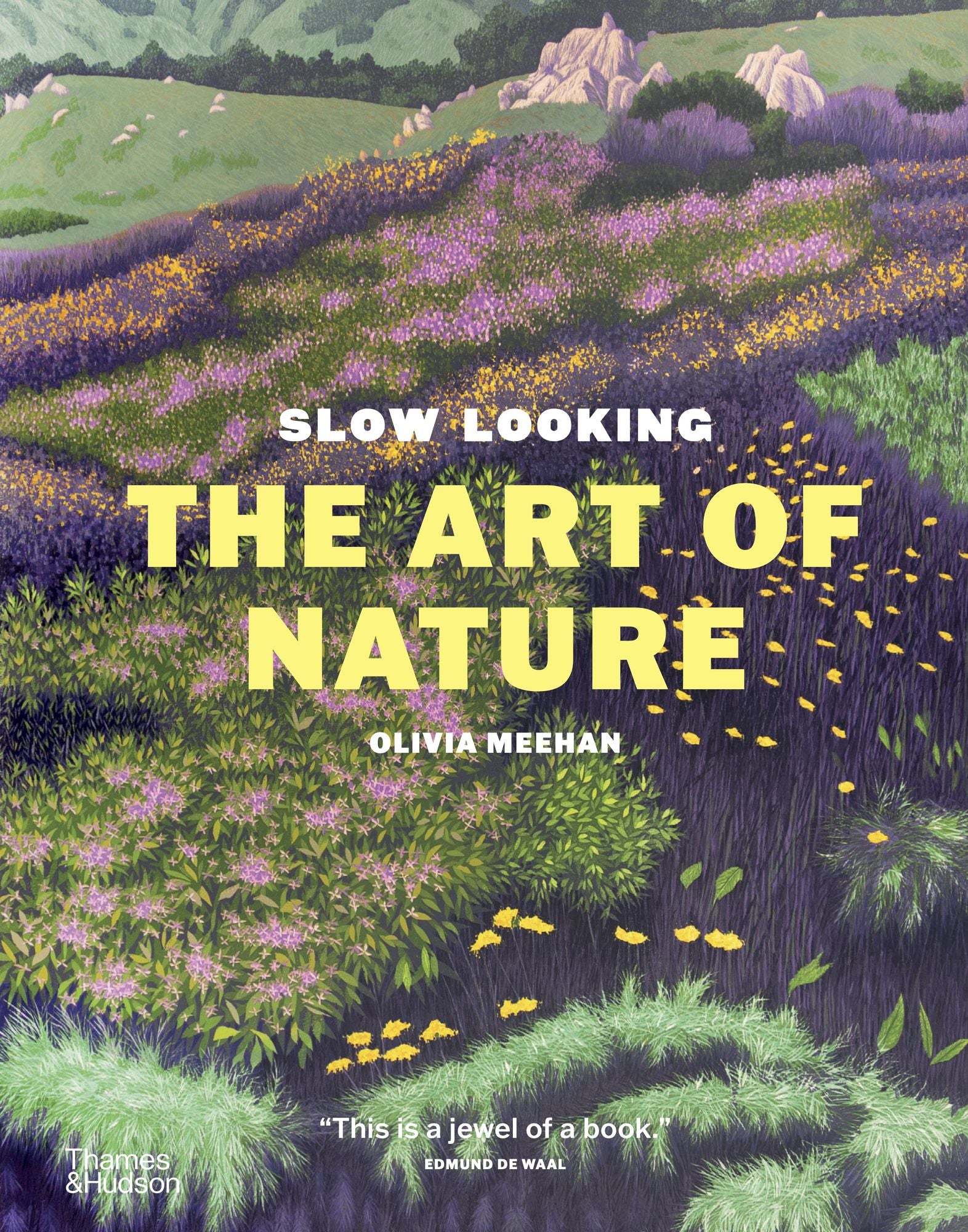 Slow Looking: The Art of Nature