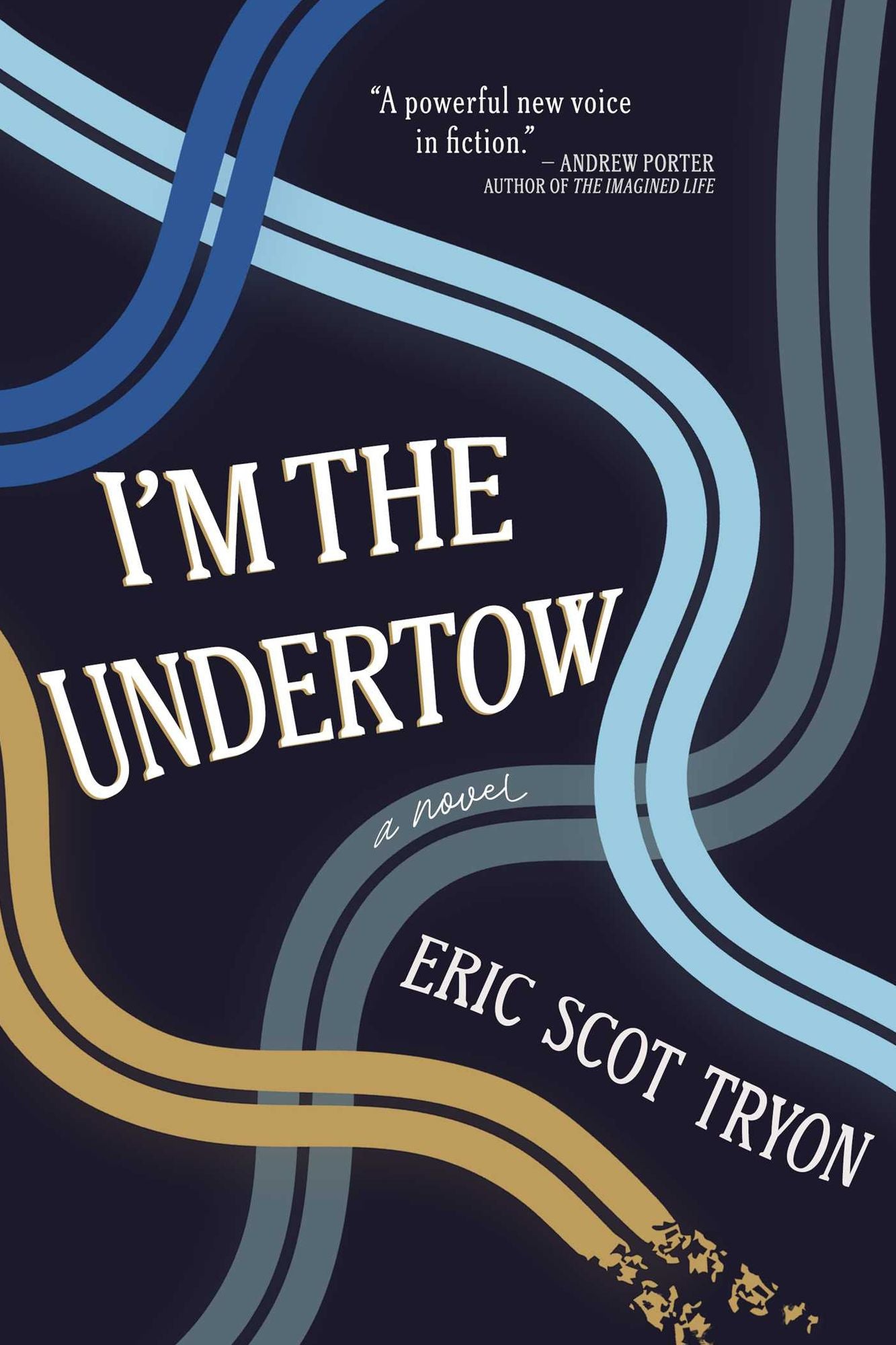 I'm the Undertow: A Novel