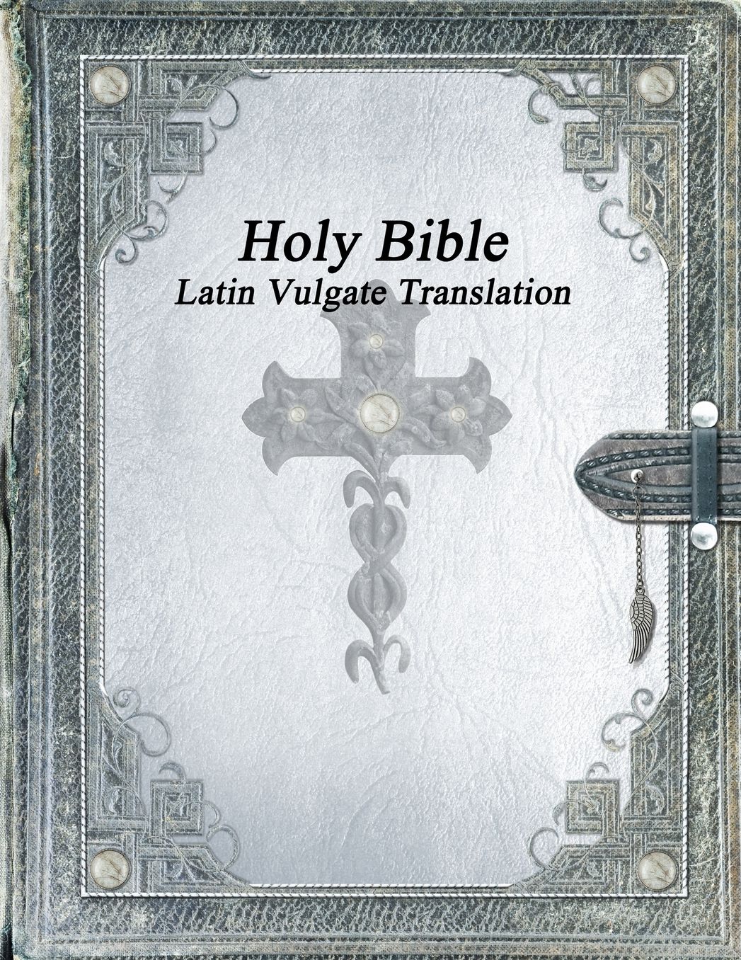 Holy Bible: Latin Vulgate Translation