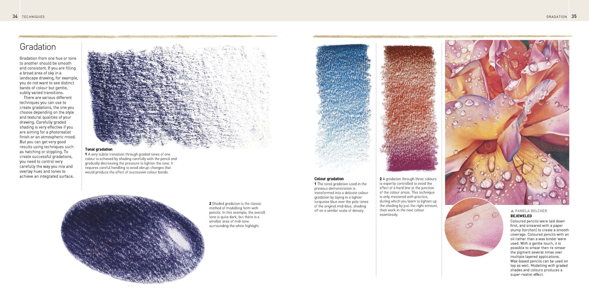 The Encyclopedia of Coloured Pencil Techniques: A complete step-by-step directory of key techniques, plus an inspirational gallery showing how artists use them