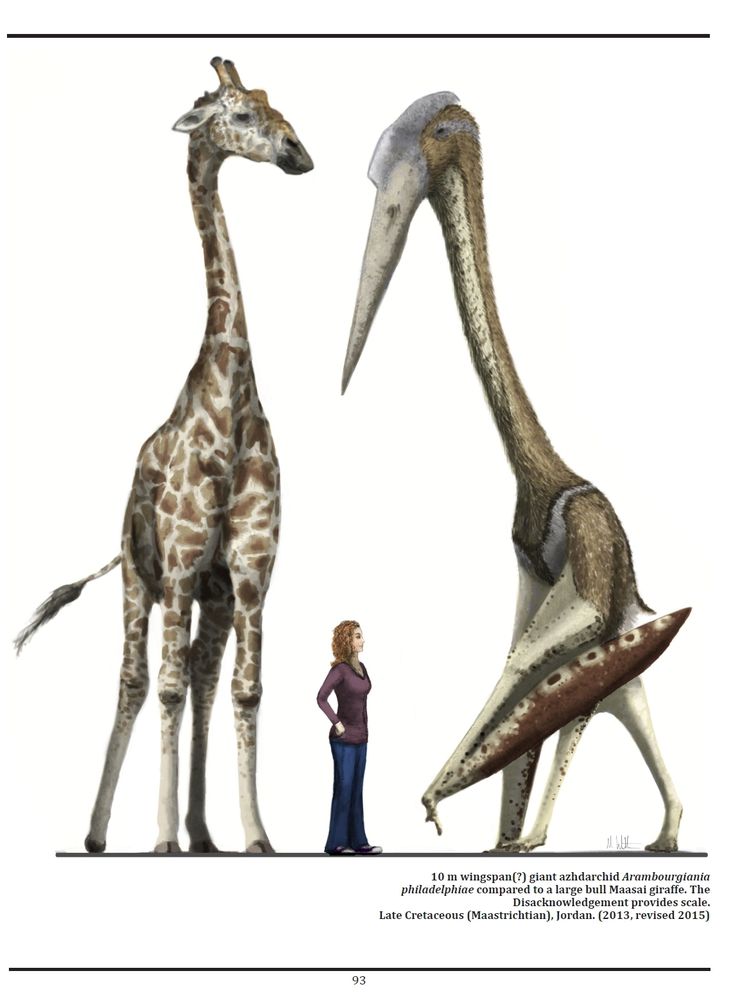 Recreating an Age of Reptiles