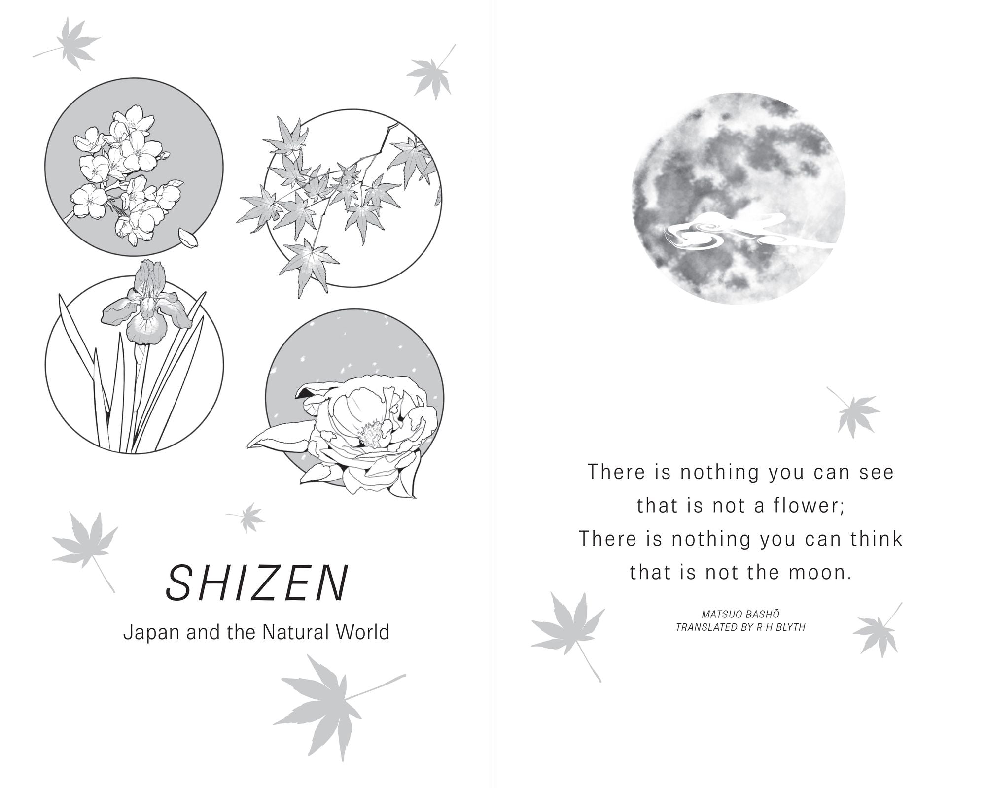 The Japanese Art of Living Seasonally: An invitation to celebrate every day