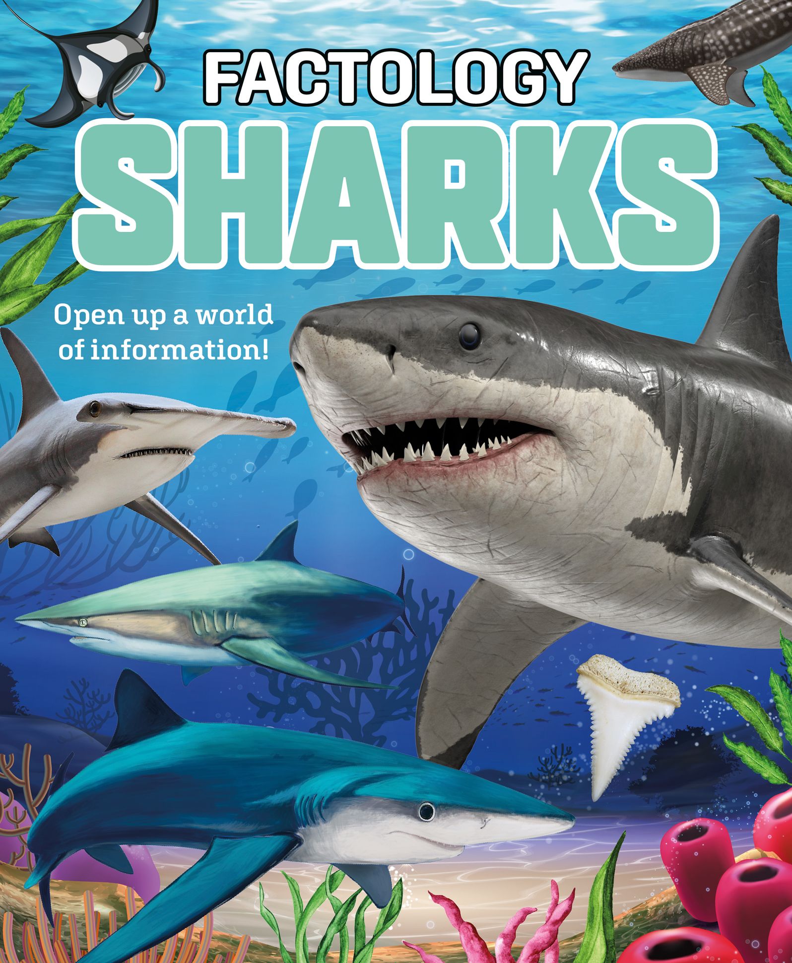 Factology: Sharks: Open Up A World of Information!