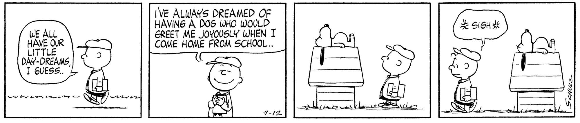 Peanuts: Charlie Brown and Snoopy