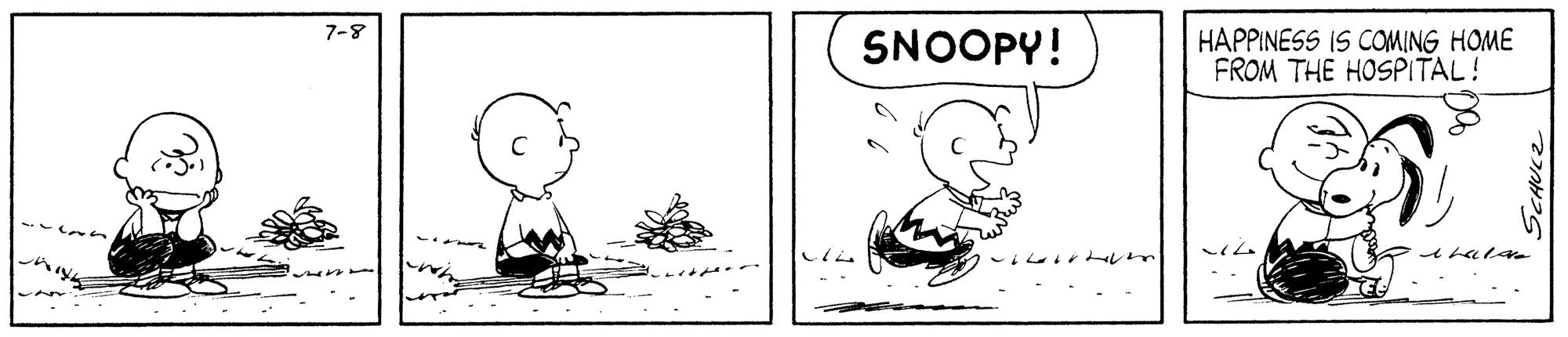 Peanuts: Charlie Brown and Snoopy