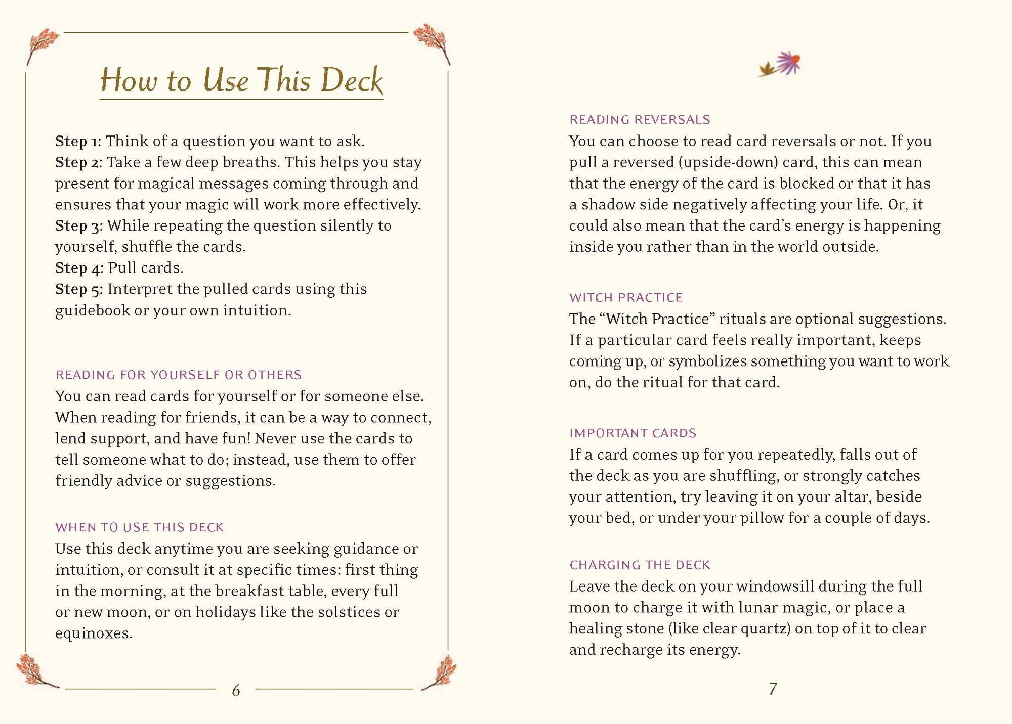 The Little Witch's Oracle Deck: Symbols, Spells, and Rituals for the Young Witch