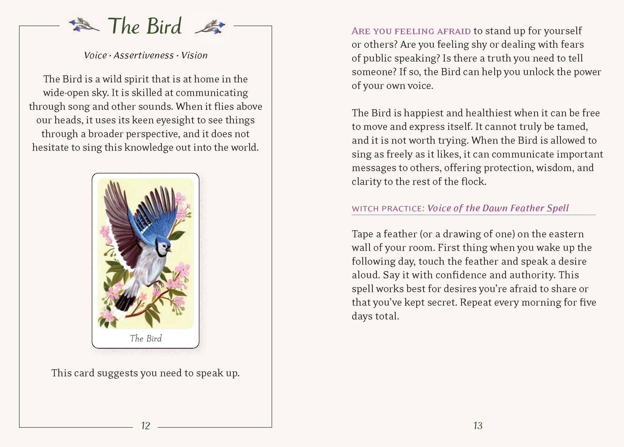 The Little Witch's Oracle Deck: Symbols, Spells, and Rituals for the Young Witch