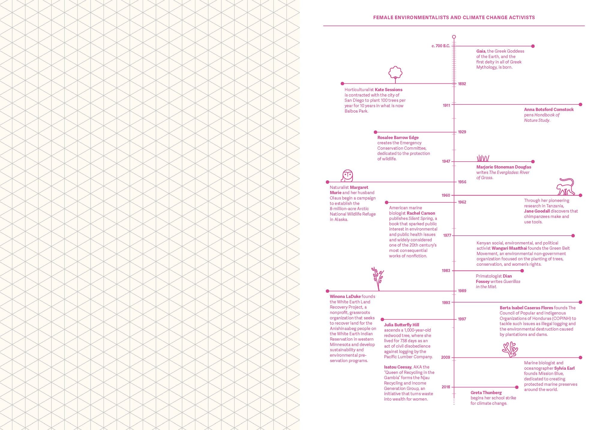Grids & Guides (Pink): A Notebook for Visual Thinkers
