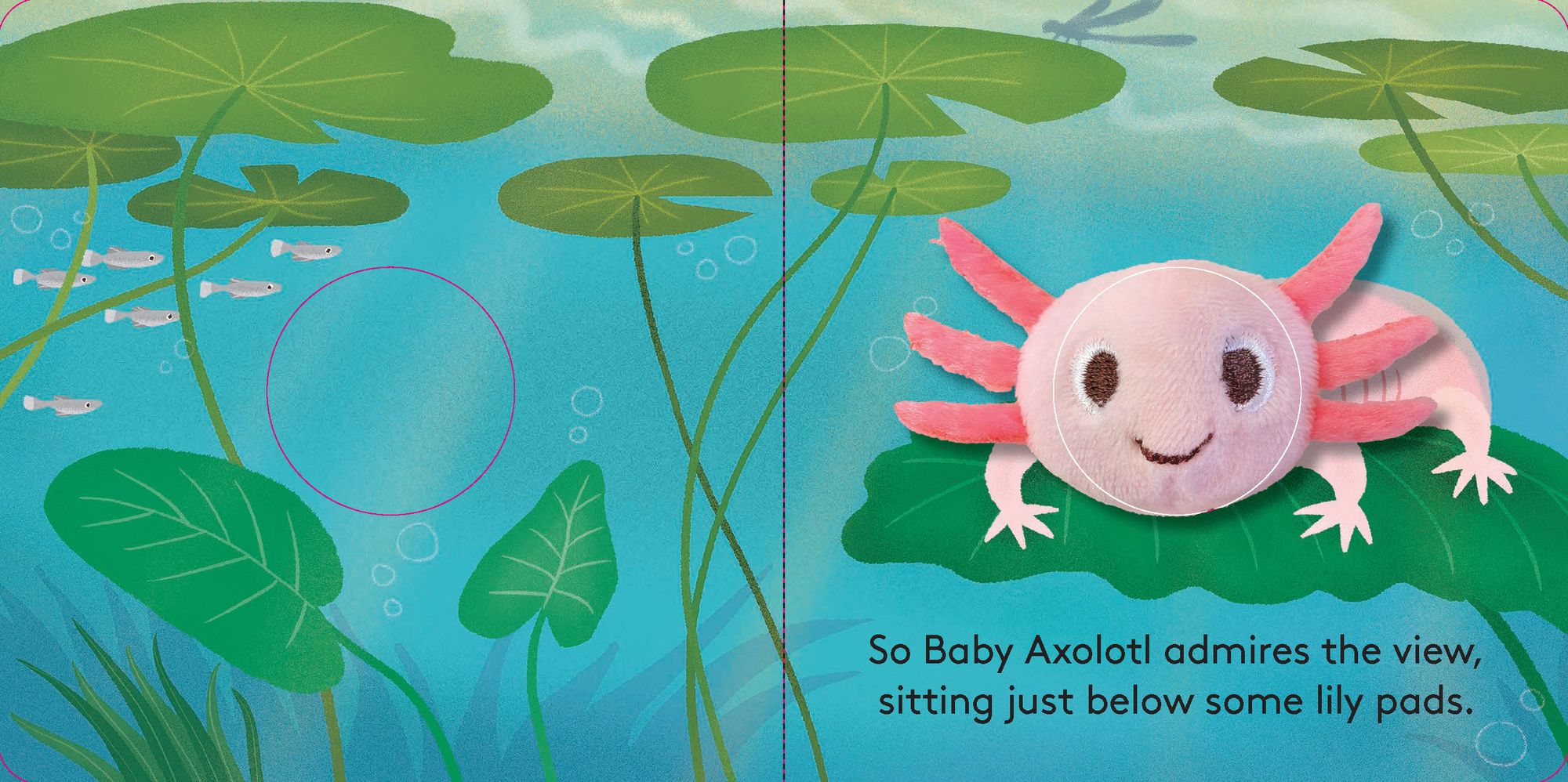 Baby Axolotl: Finger Puppet Book