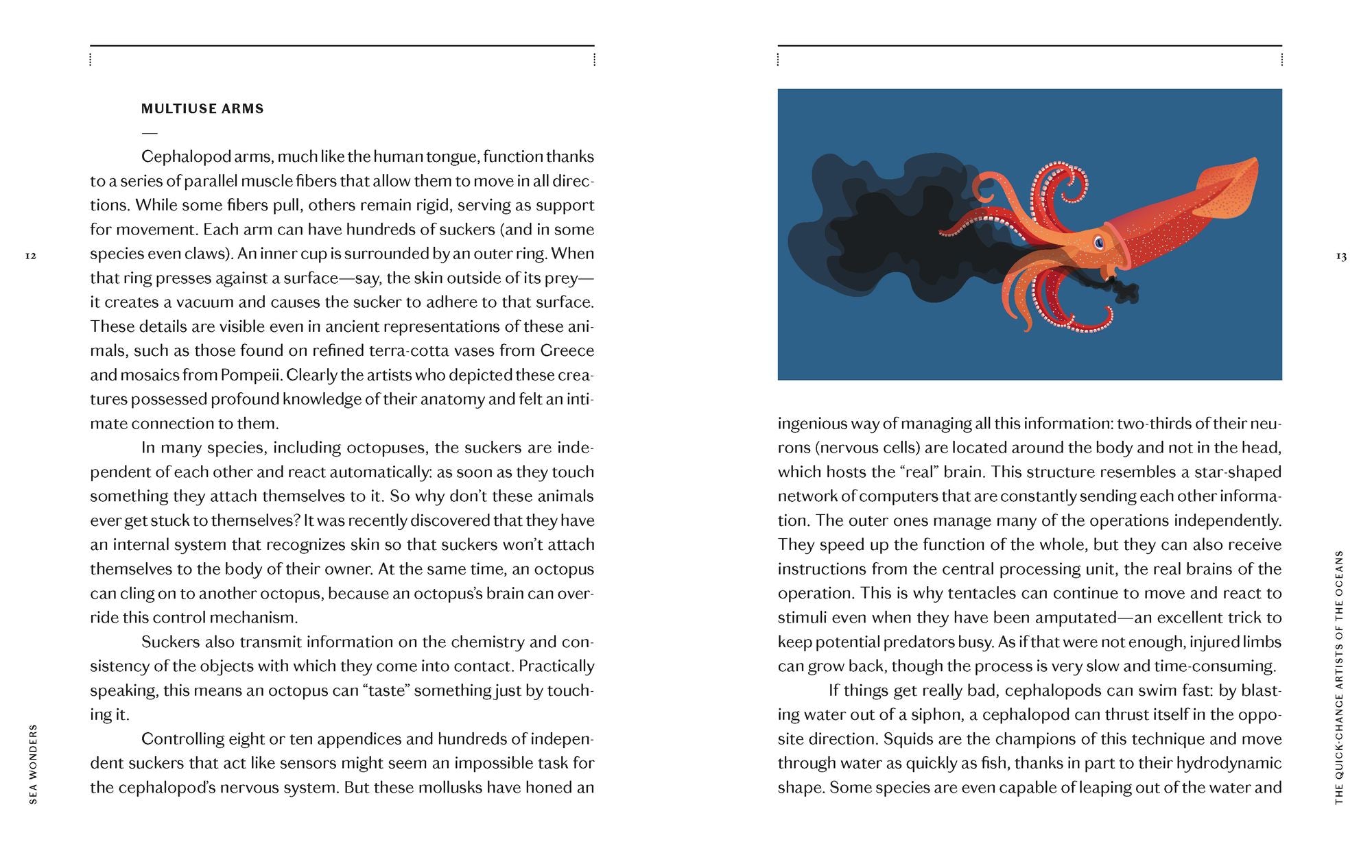 Sea Wonders: The Octopus, the Cuttlefish, and the Squid