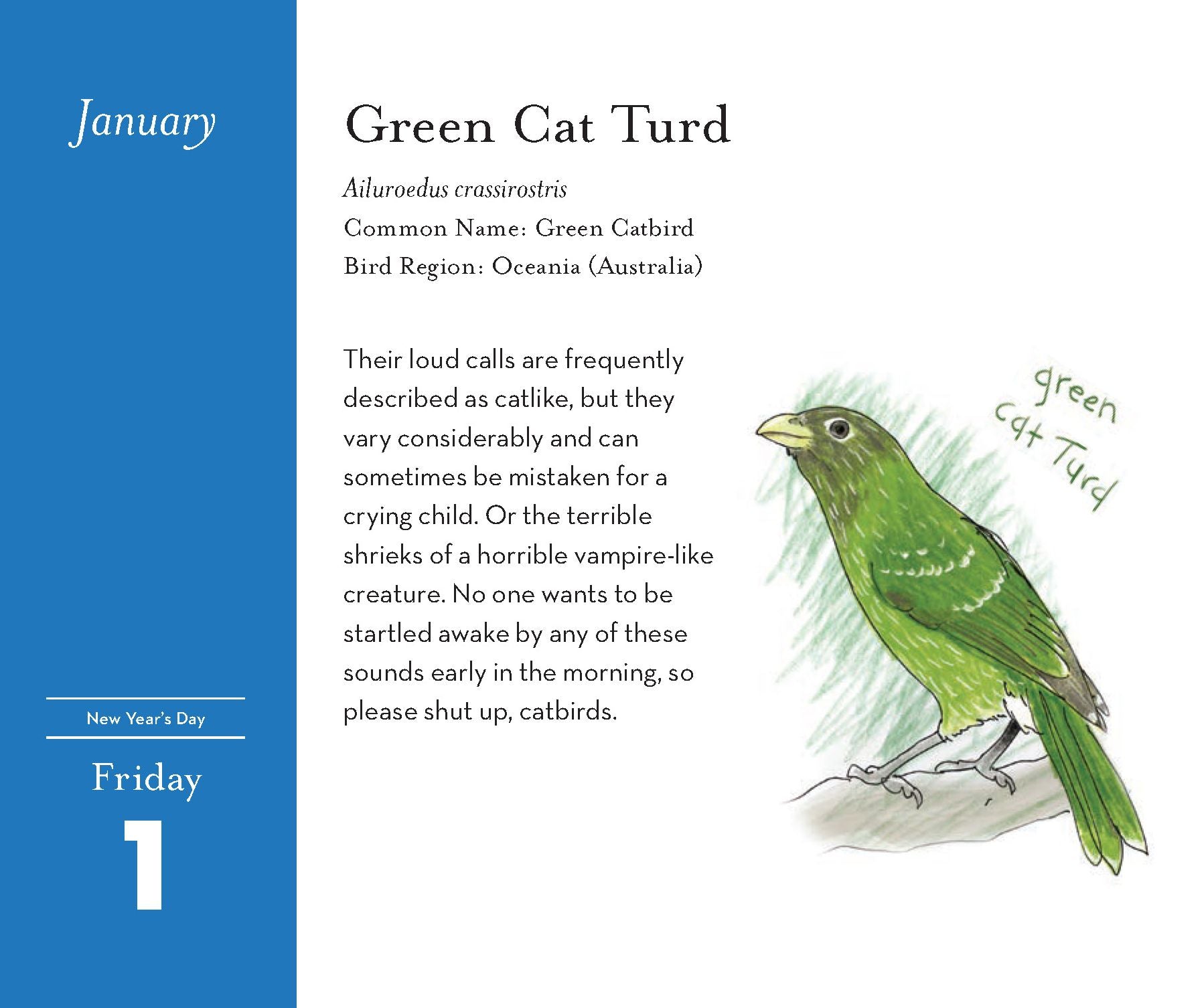 2027 The Field Guide to Dumb Birds Daily Calendar