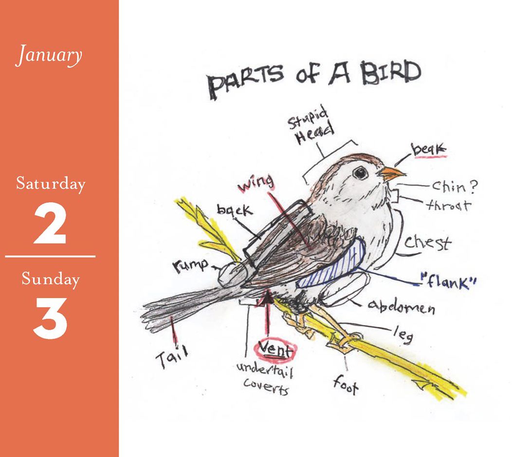 2027 The Field Guide to Dumb Birds Daily Calendar