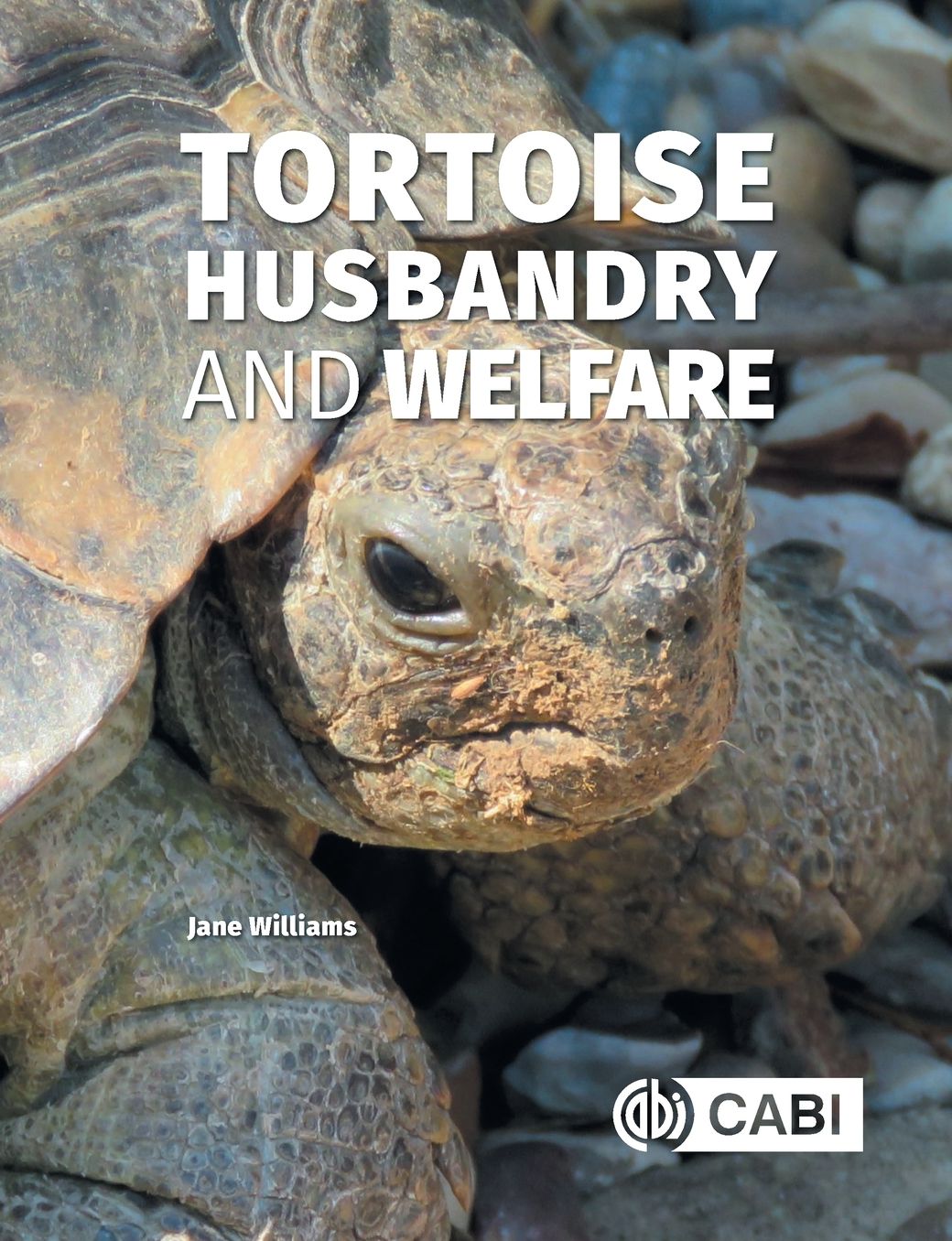 Tortoise Husbandry and Welfare