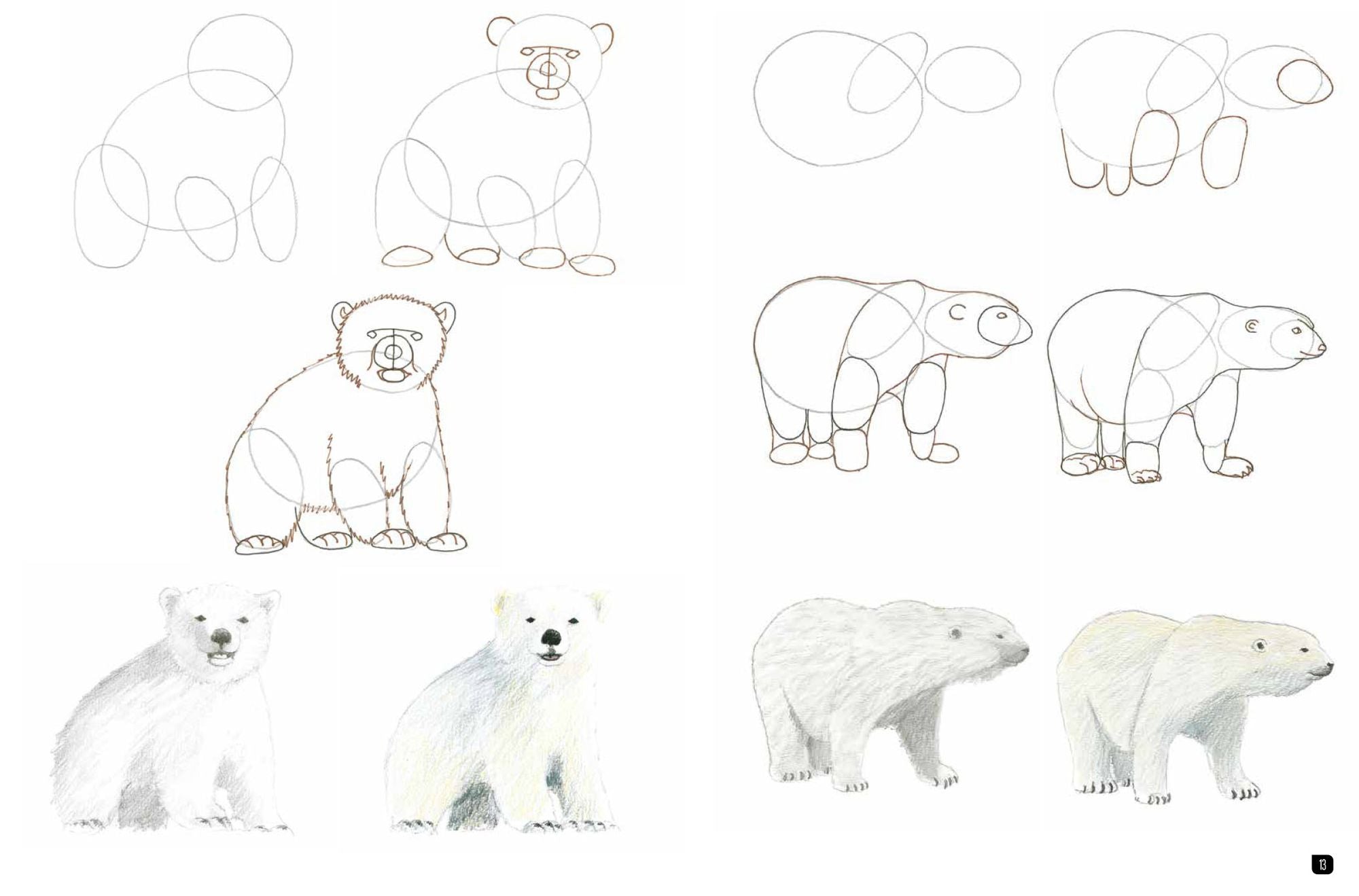Draw 100: Animals: From basic shapes to amazing drawings in super-easy steps