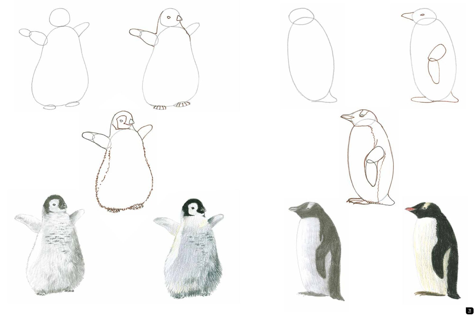 Draw 100: Animals: From basic shapes to amazing drawings in super-easy steps